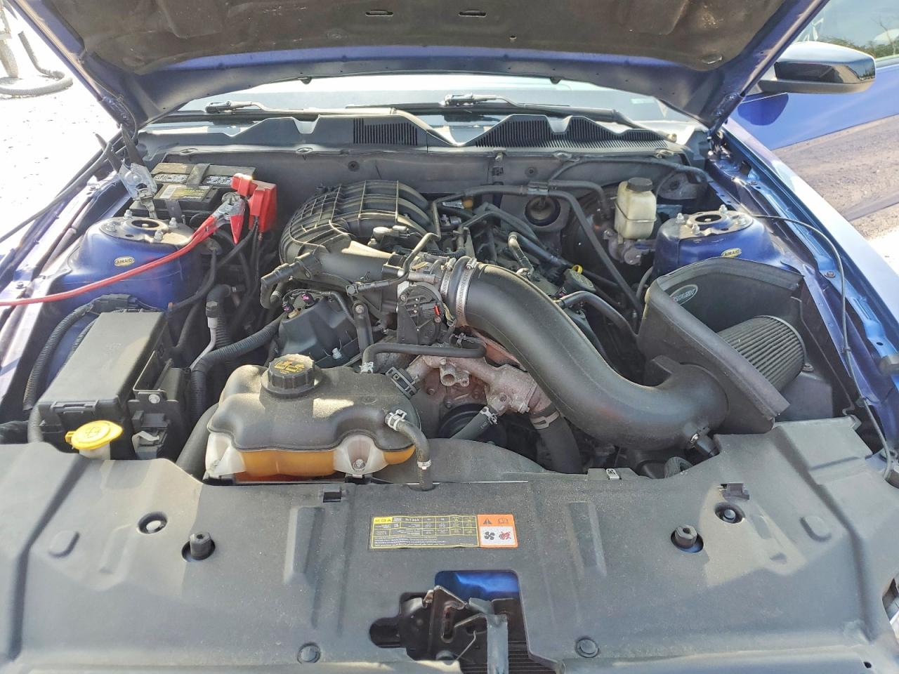 2014 Ford Mustang Blue vin: 1ZVBP8AMXE5299248