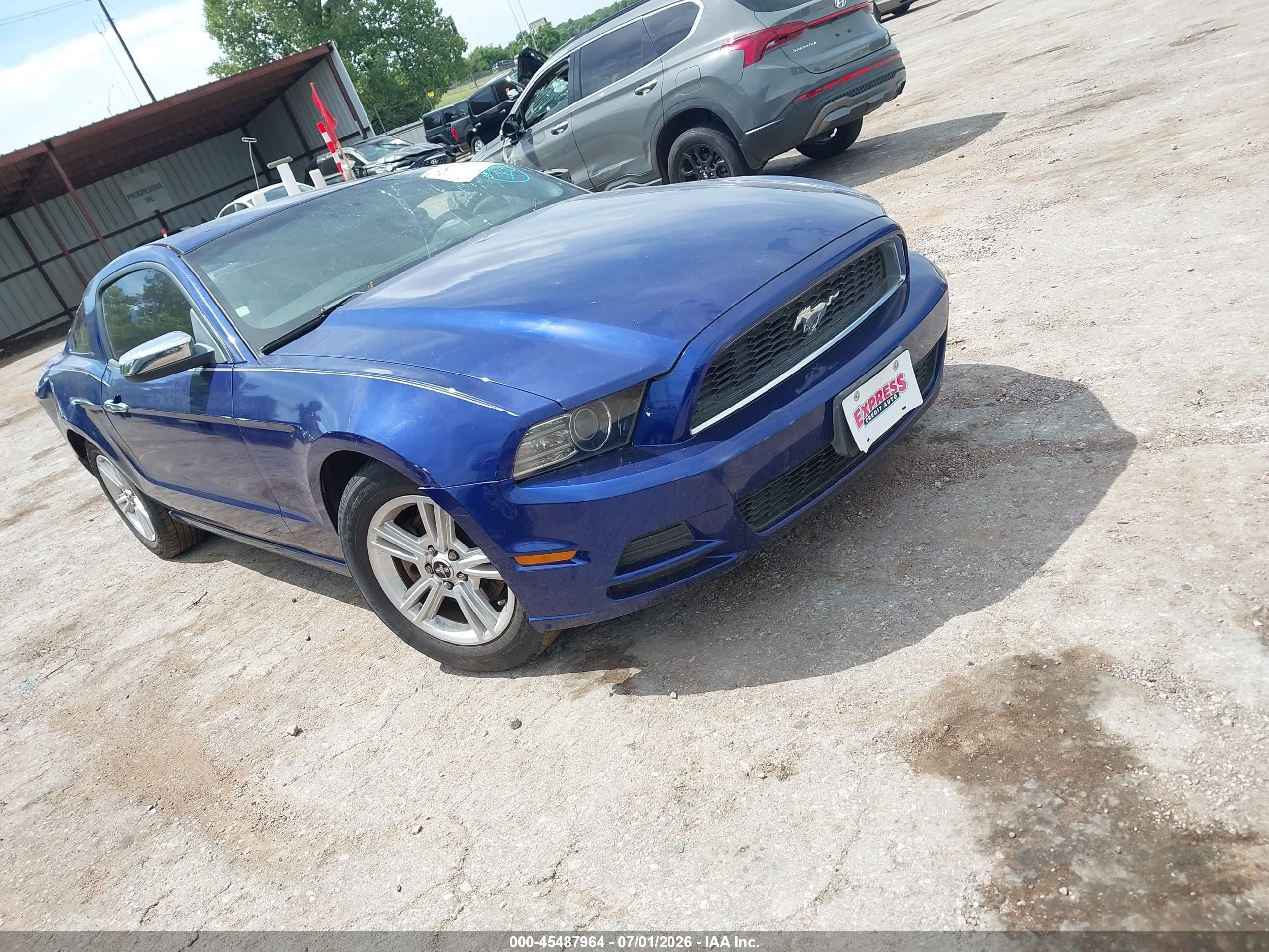 2014 Ford Mustang V6/v6 Premium Blue vin: 1ZVBP8AMXE5313438
