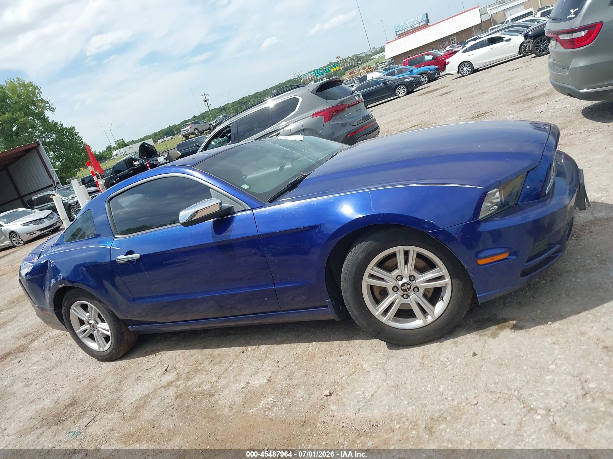 2014 Ford Mustang V6/v6 Premium Blue vin: 1ZVBP8AMXE5313438