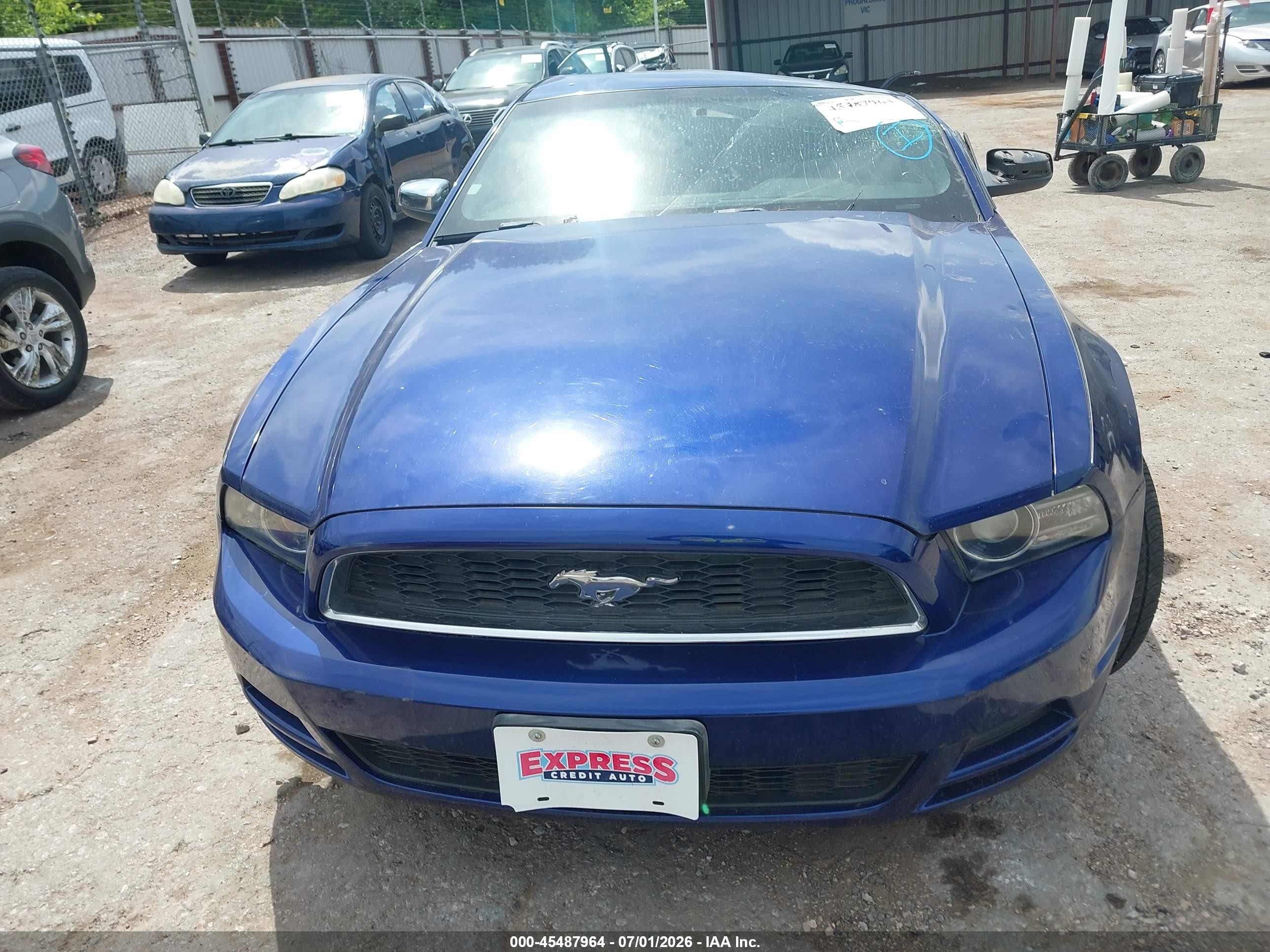 2014 Ford Mustang V6/v6 Premium Blue vin: 1ZVBP8AMXE5313438