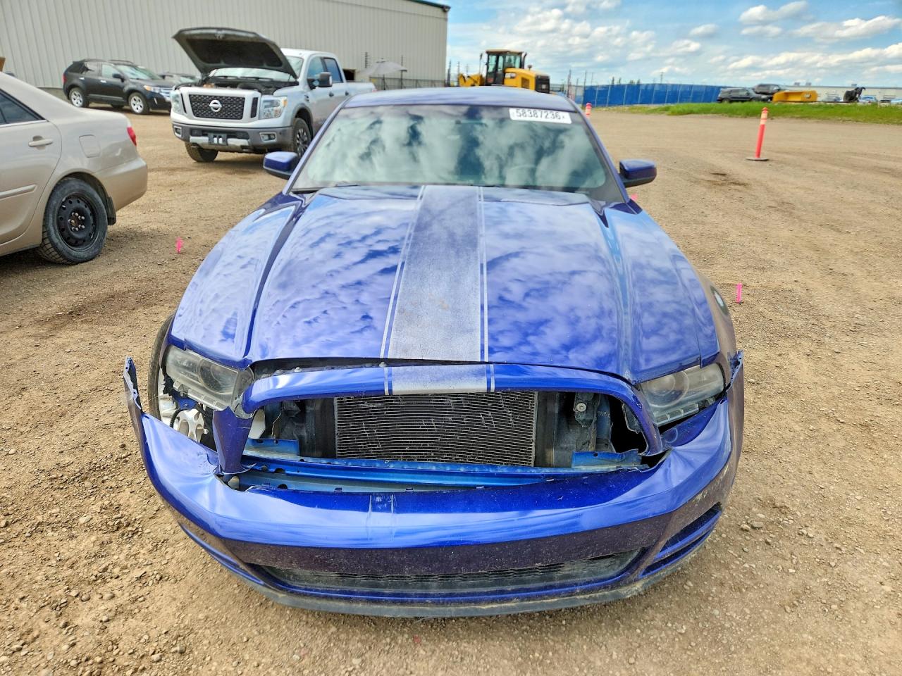 2014 Ford Mustang Blue vin: 1ZVBP8AMXE5317635