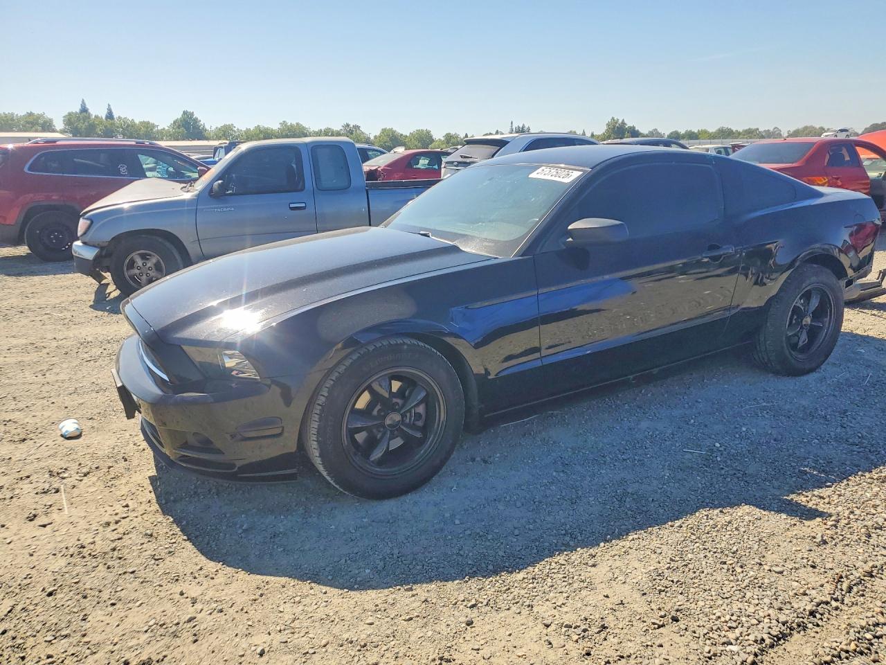 2014 Ford Mustang Black vin: 1ZVBP8AMXE5321975