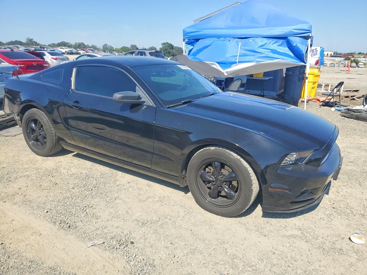 2014 Ford Mustang Black vin: 1ZVBP8AMXE5321975