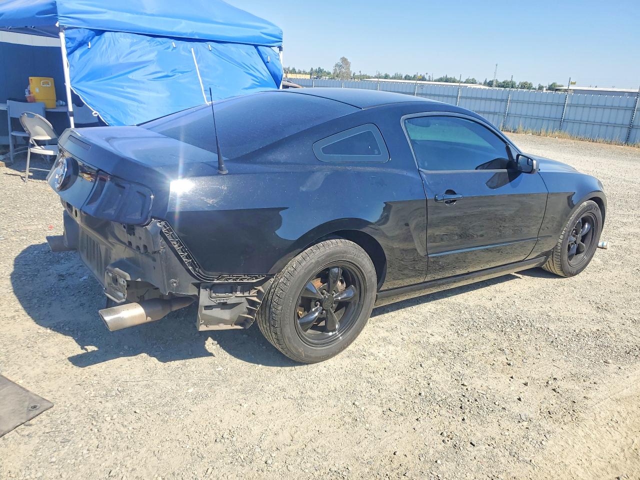 2014 Ford Mustang Black vin: 1ZVBP8AMXE5321975