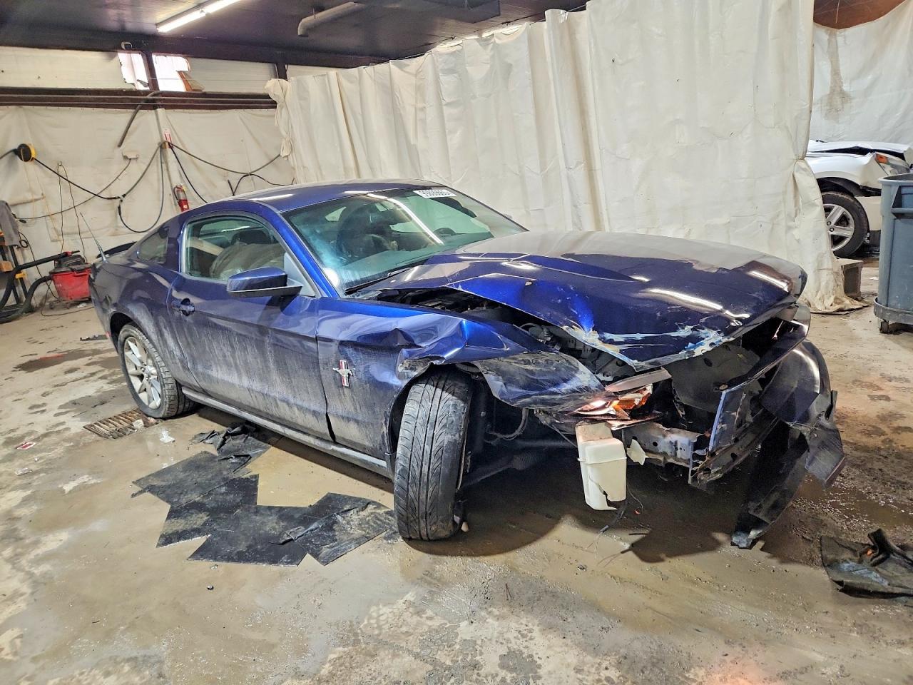 2010 Ford Mustang Синий vin: 1ZVBP8AN1A5134319