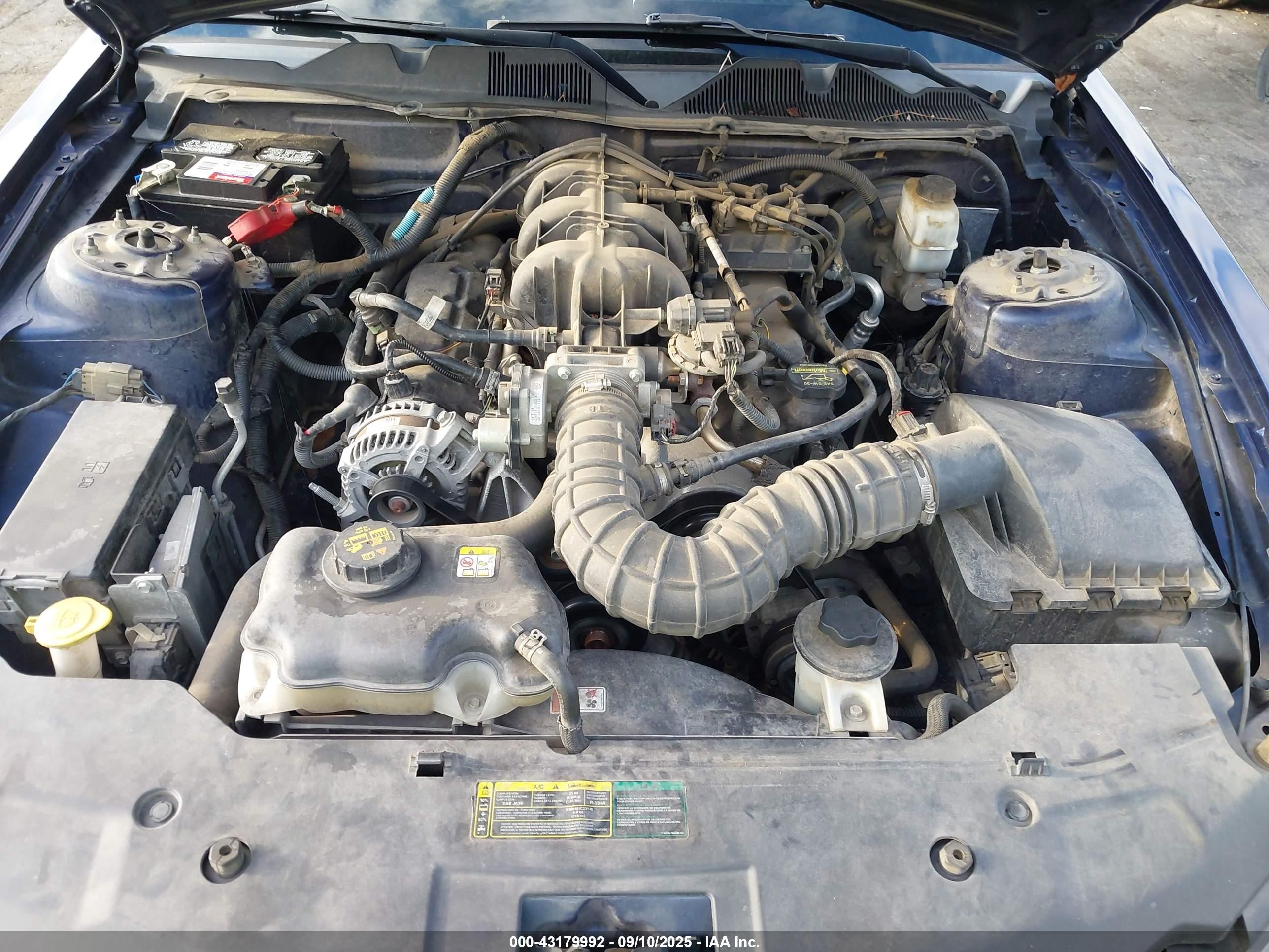 2010 Ford Mustang V6 Синий vin: 1ZVBP8AN1A5155297