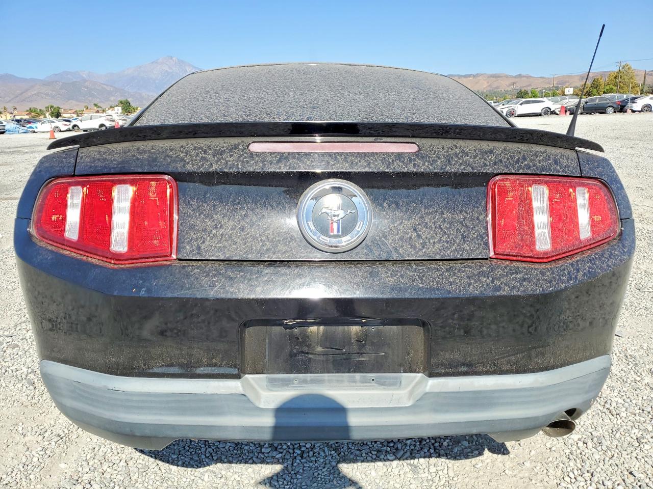 2010 Ford Mustang Black vin: 1ZVBP8AN2A5155969