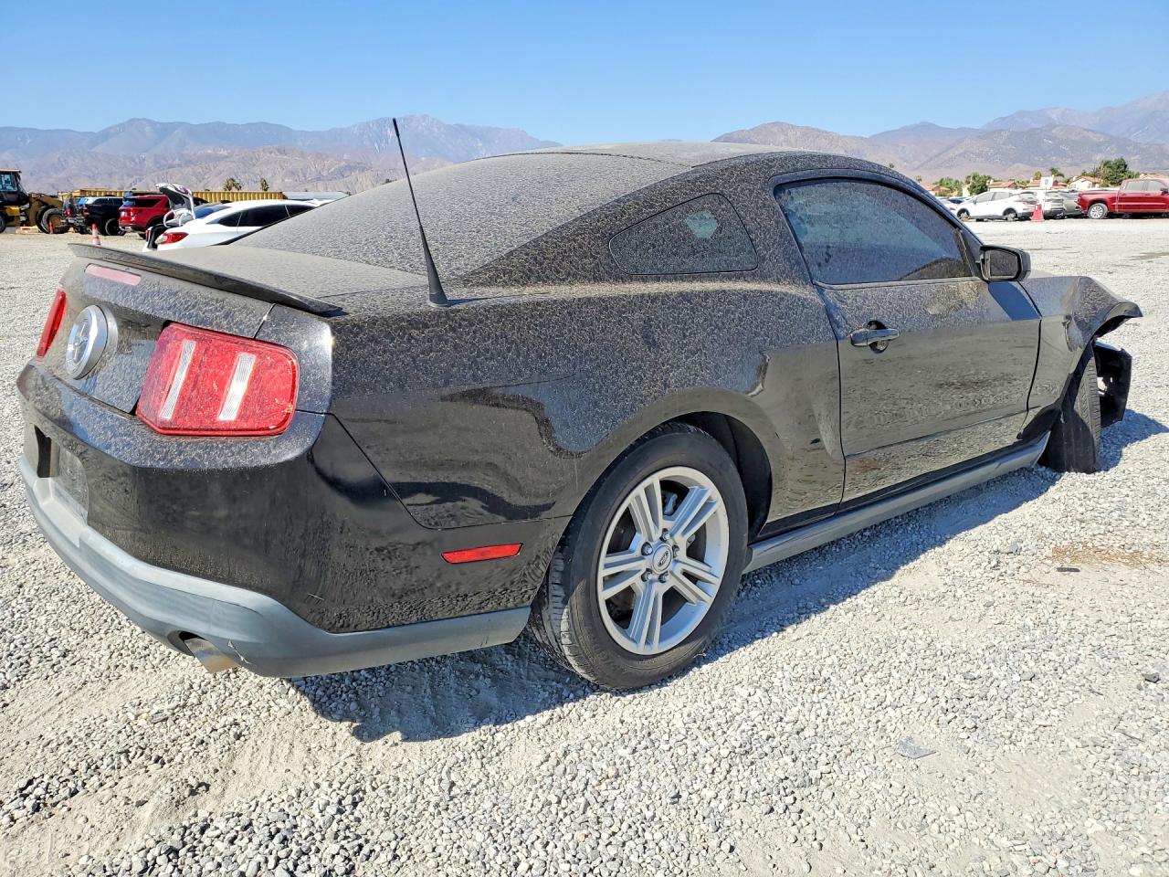 2010 Ford Mustang Black vin: 1ZVBP8AN2A5155969