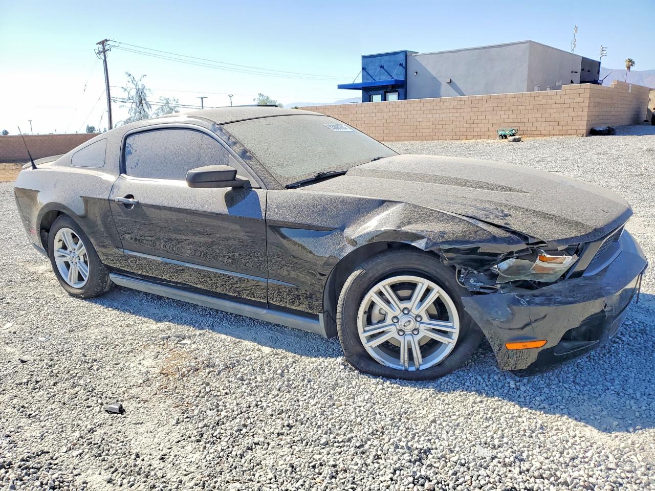 2010 Ford Mustang Black vin: 1ZVBP8AN2A5155969