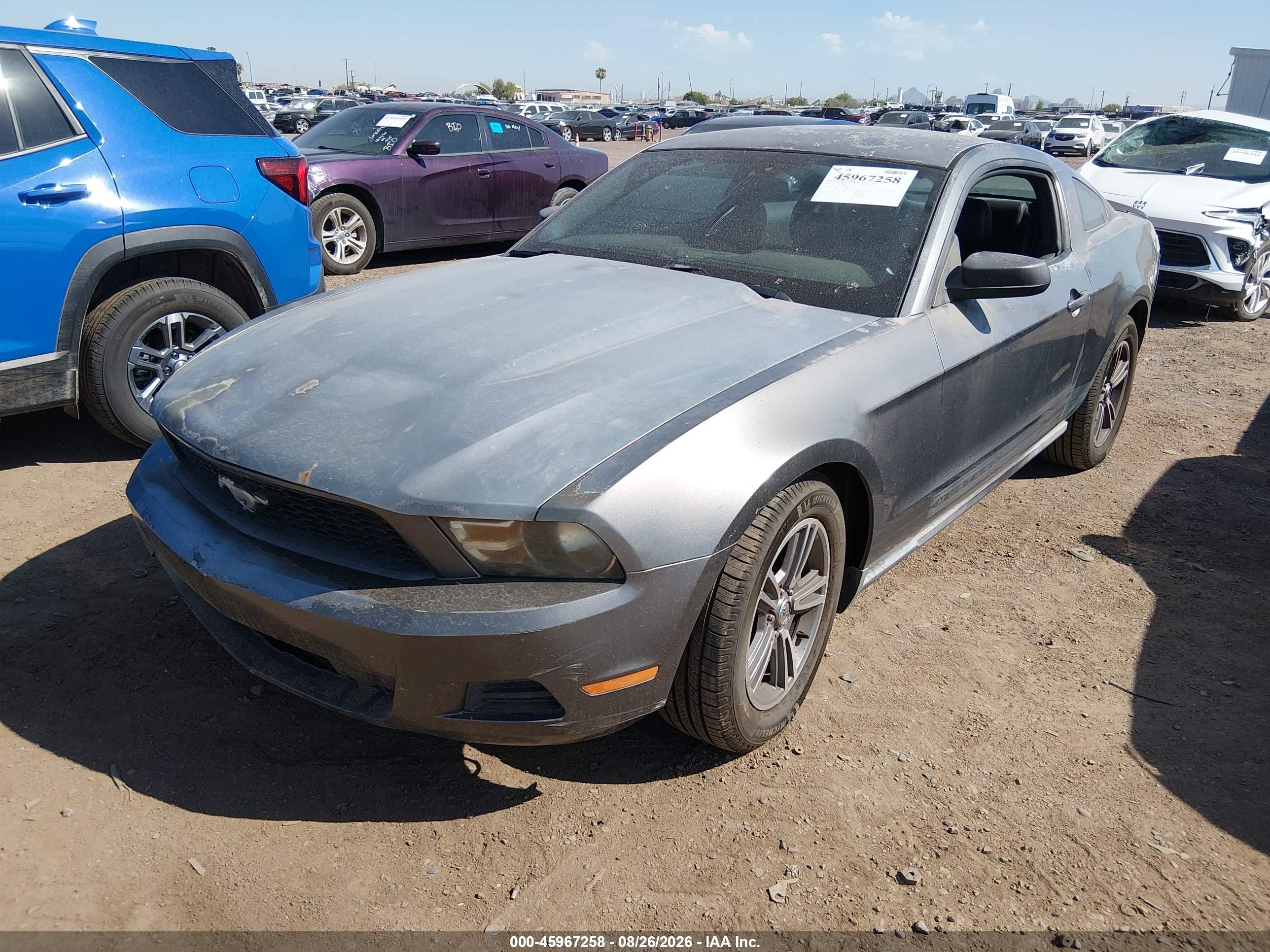 2010 Ford Mustang V6/v6 Premium Серый vin: 1ZVBP8AN8A5126749