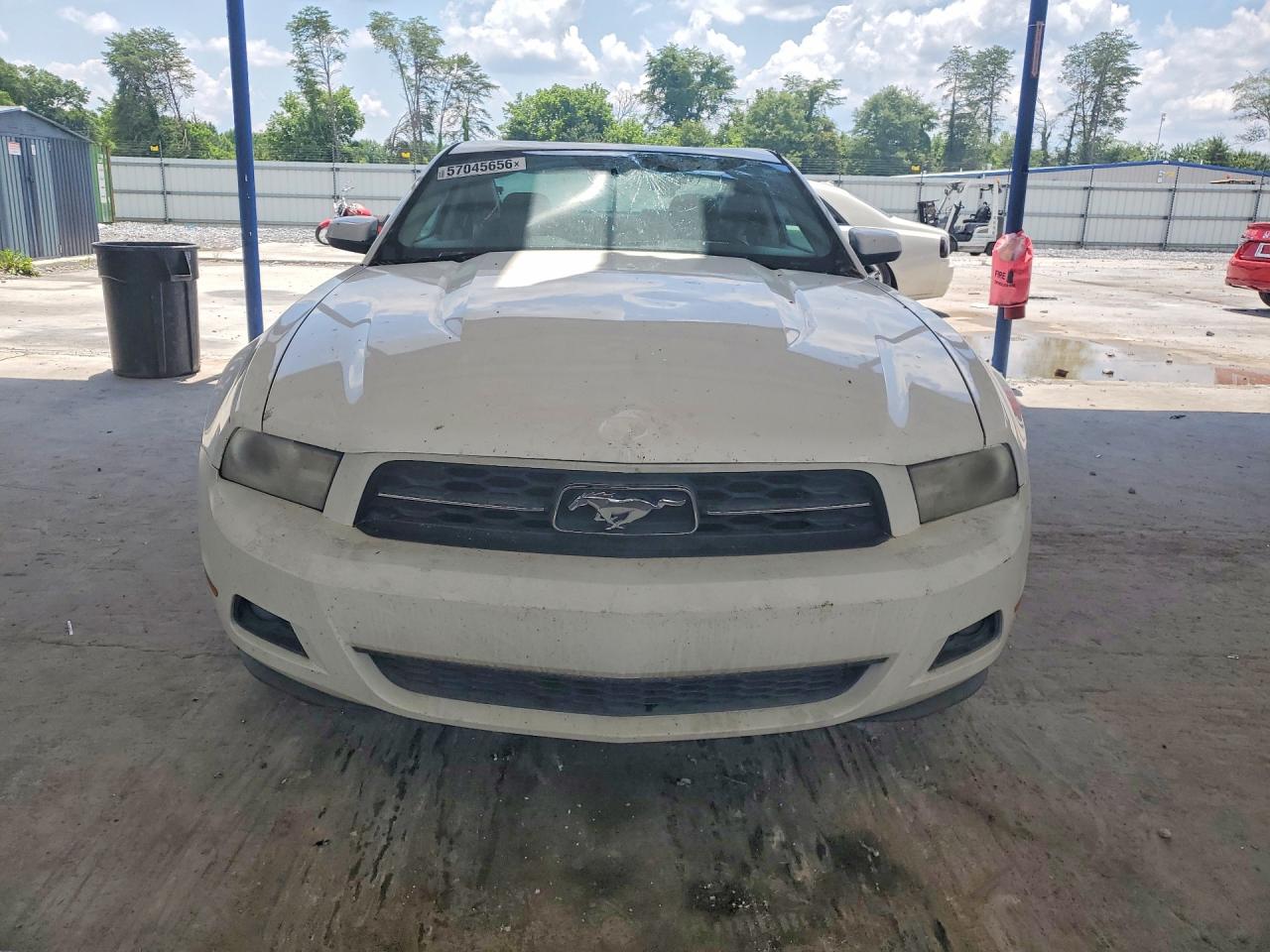 2010 Ford Mustang White vin: 1ZVBP8AN8A5128968