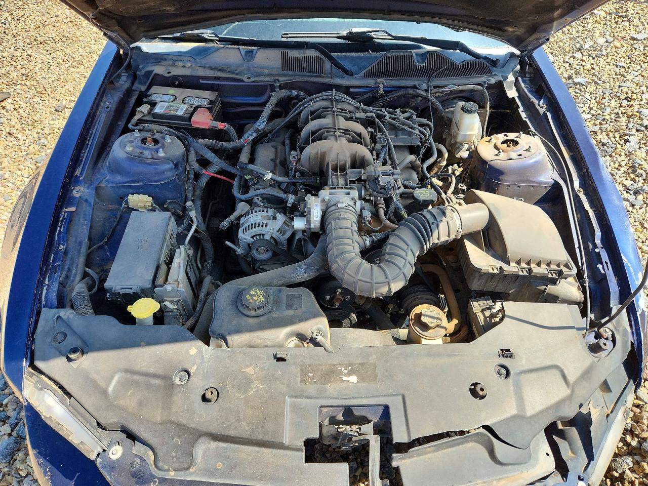 2010 Ford Mustang Blue vin: 1ZVBP8AN8A5172484