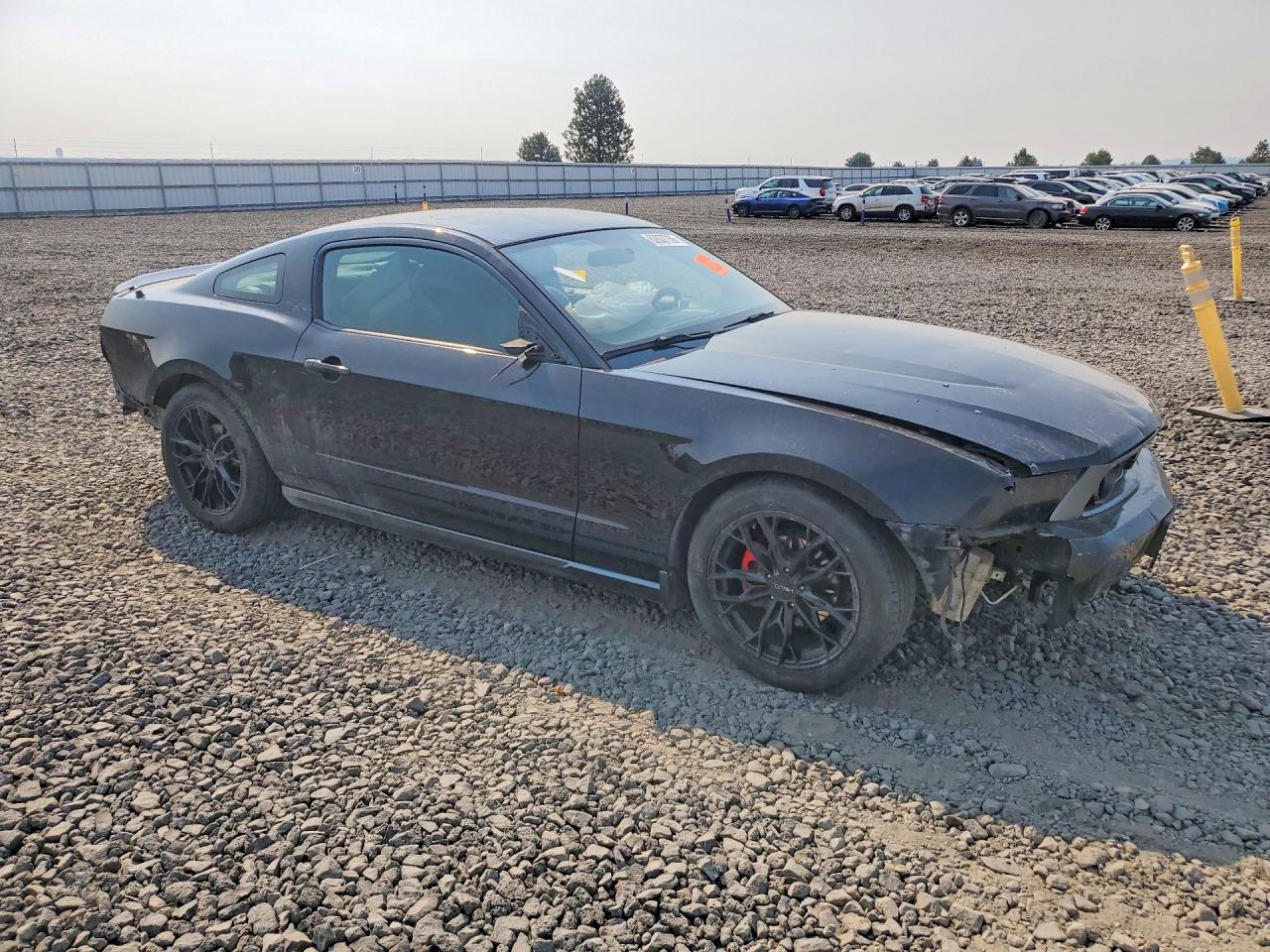 2010 Ford Mustang Black vin: 1ZVBP8AN9A5176396