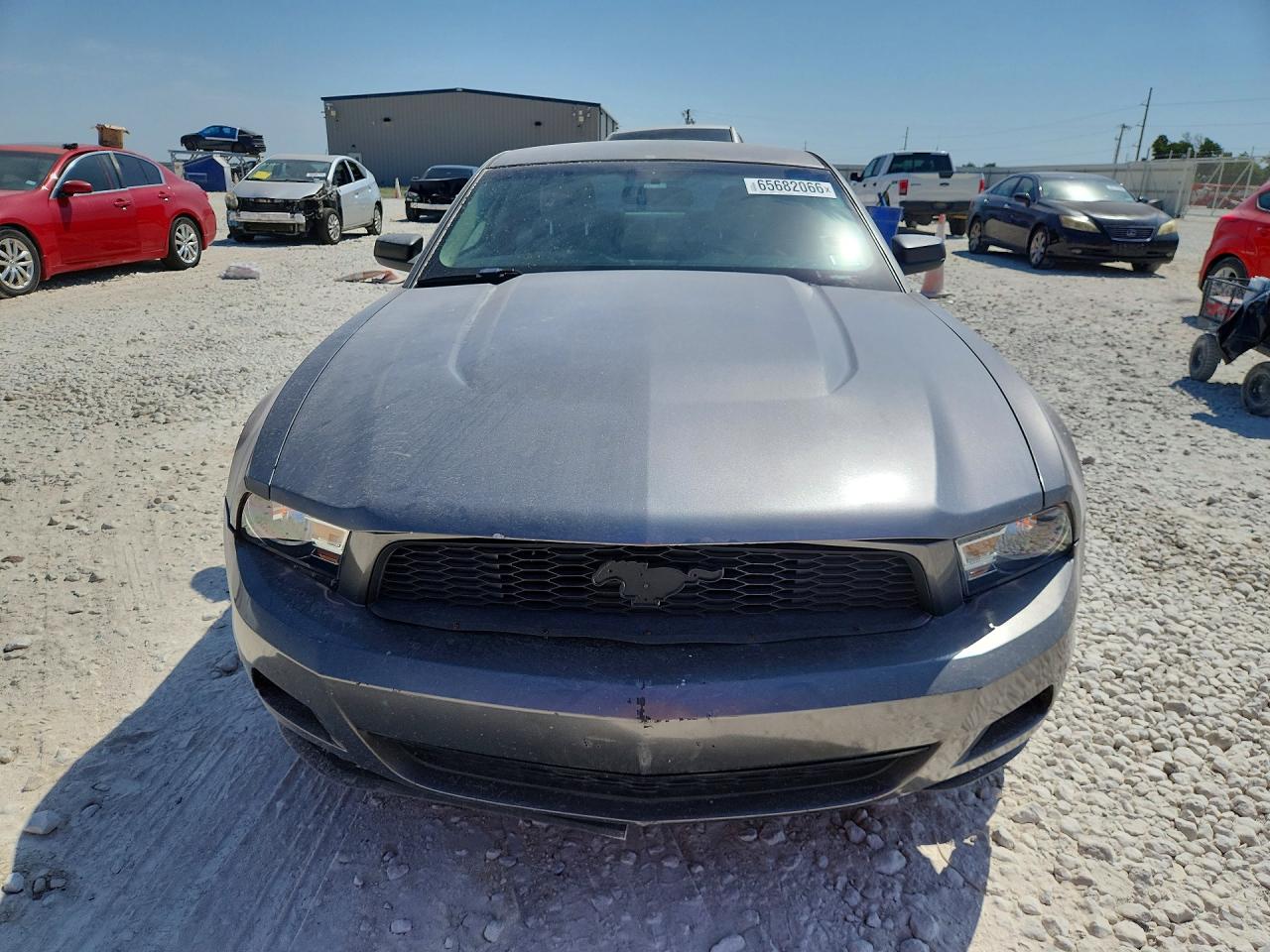2010 Ford Mustang Серый vin: 1ZVBP8ANXA5140331