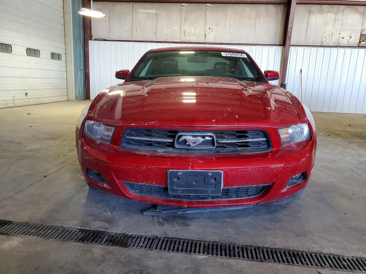 2010 Ford Mustang Burgundy vin: 1ZVBP8ANXA5153838
