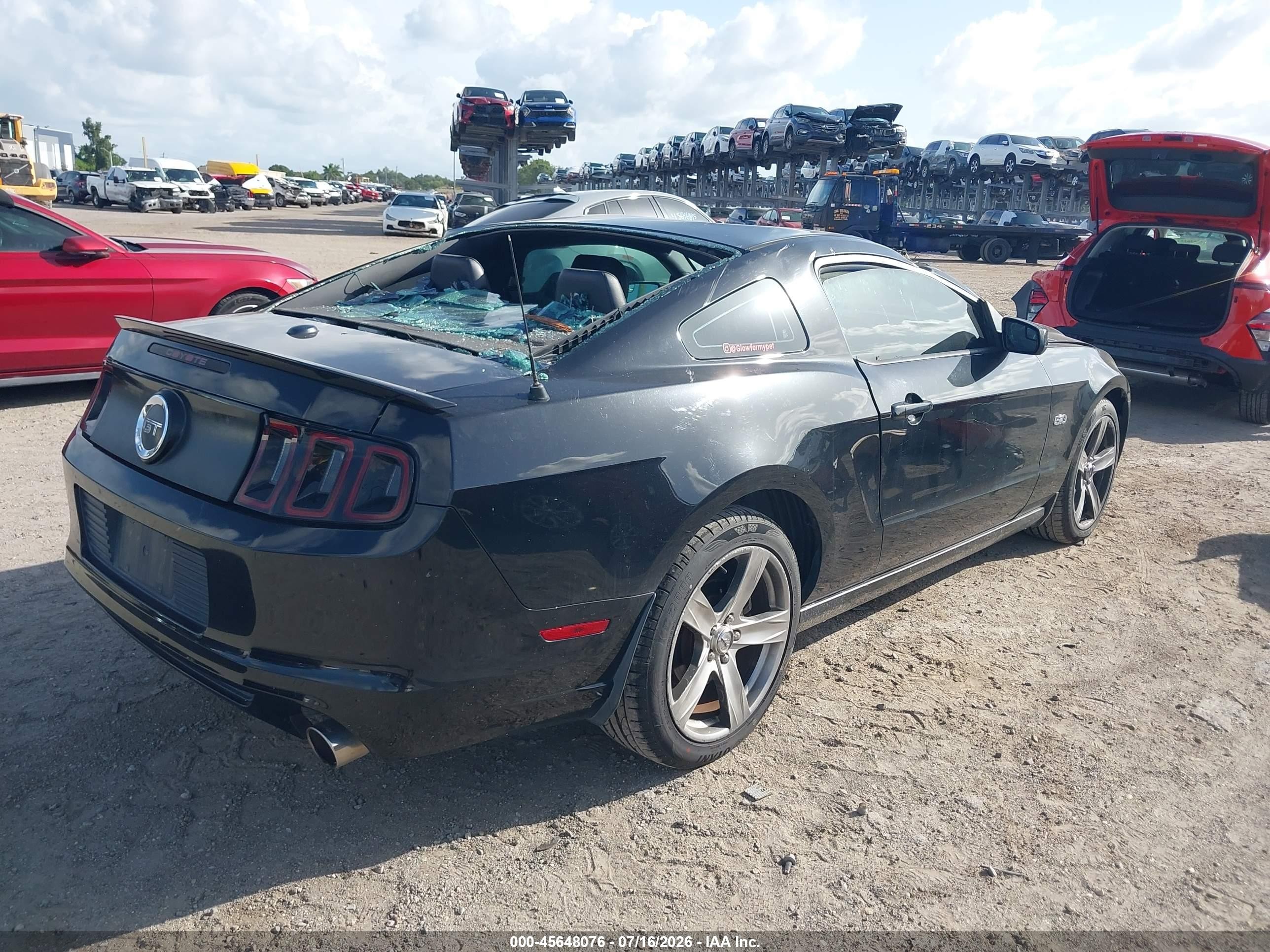 2013 Ford Mustang Gt Premium Black vin: 1ZVBP8CF0D5266031