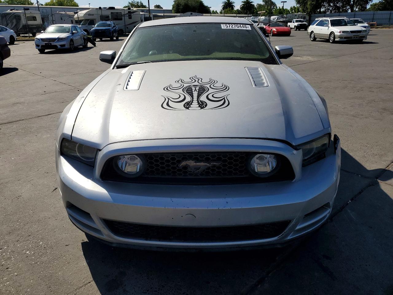 2013 Ford Mustang Silver vin: 1ZVBP8CF0D5267700