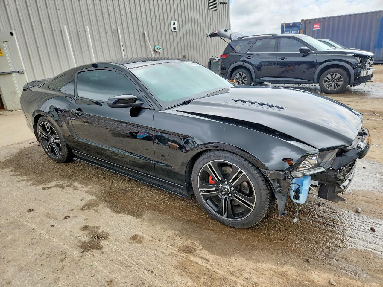 2014 Ford Mustang Gt Black vin: 1ZVBP8CF0E5209345