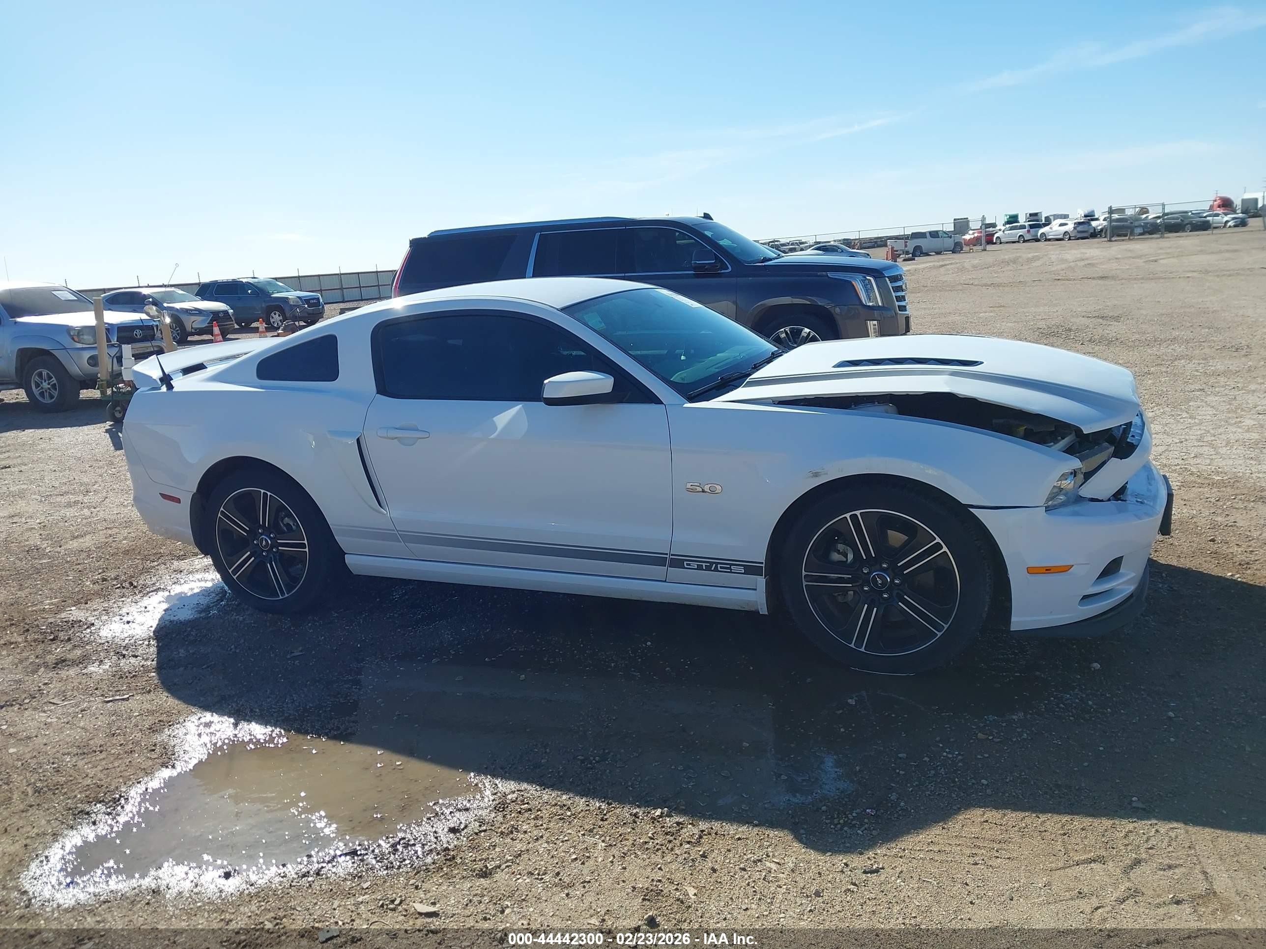 2014 Ford Mustang Gt Premium White vin: 1ZVBP8CF0E5249778