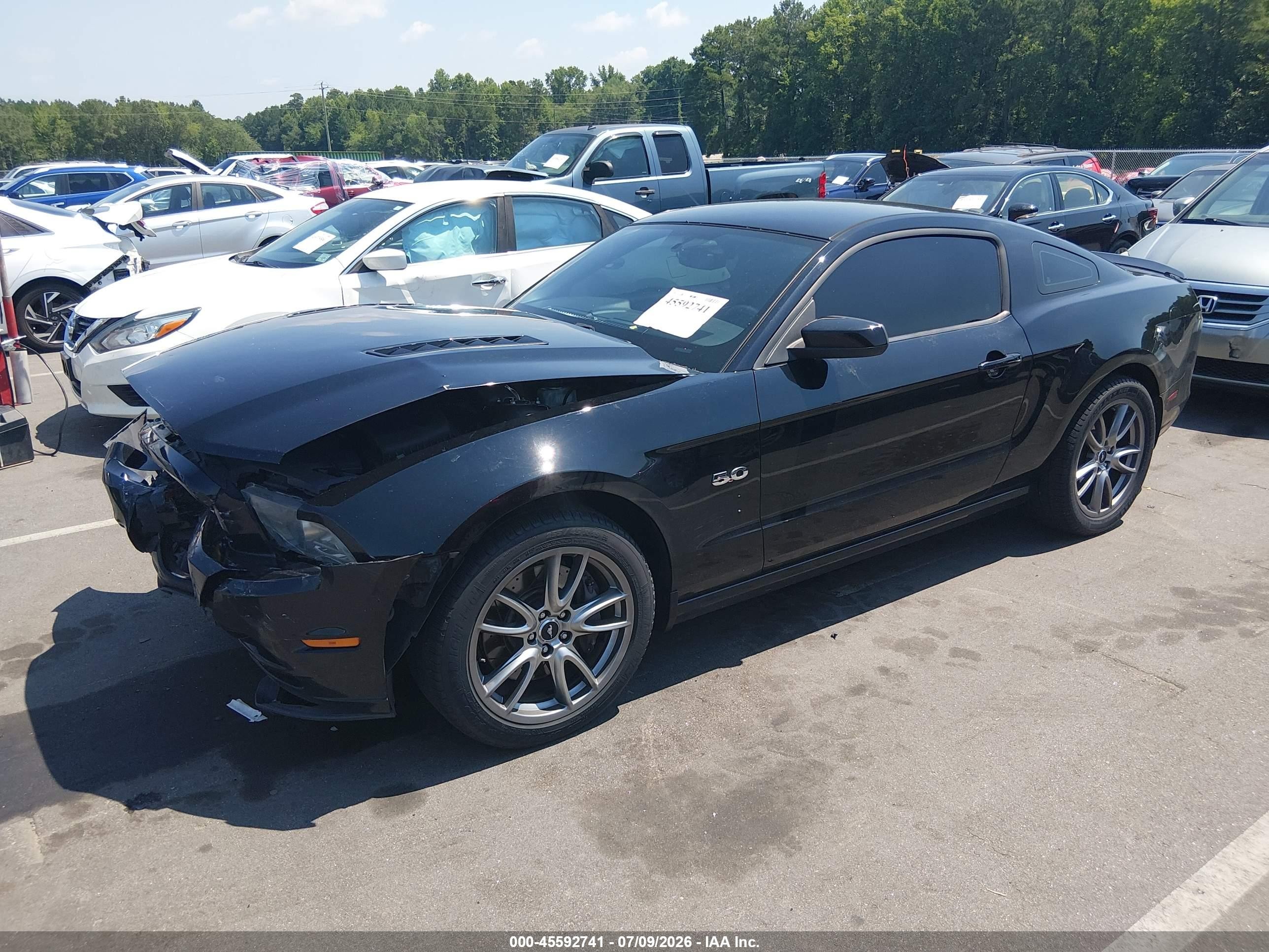 2013 Ford Mustang Gt Black vin: 1ZVBP8CF1D5213659