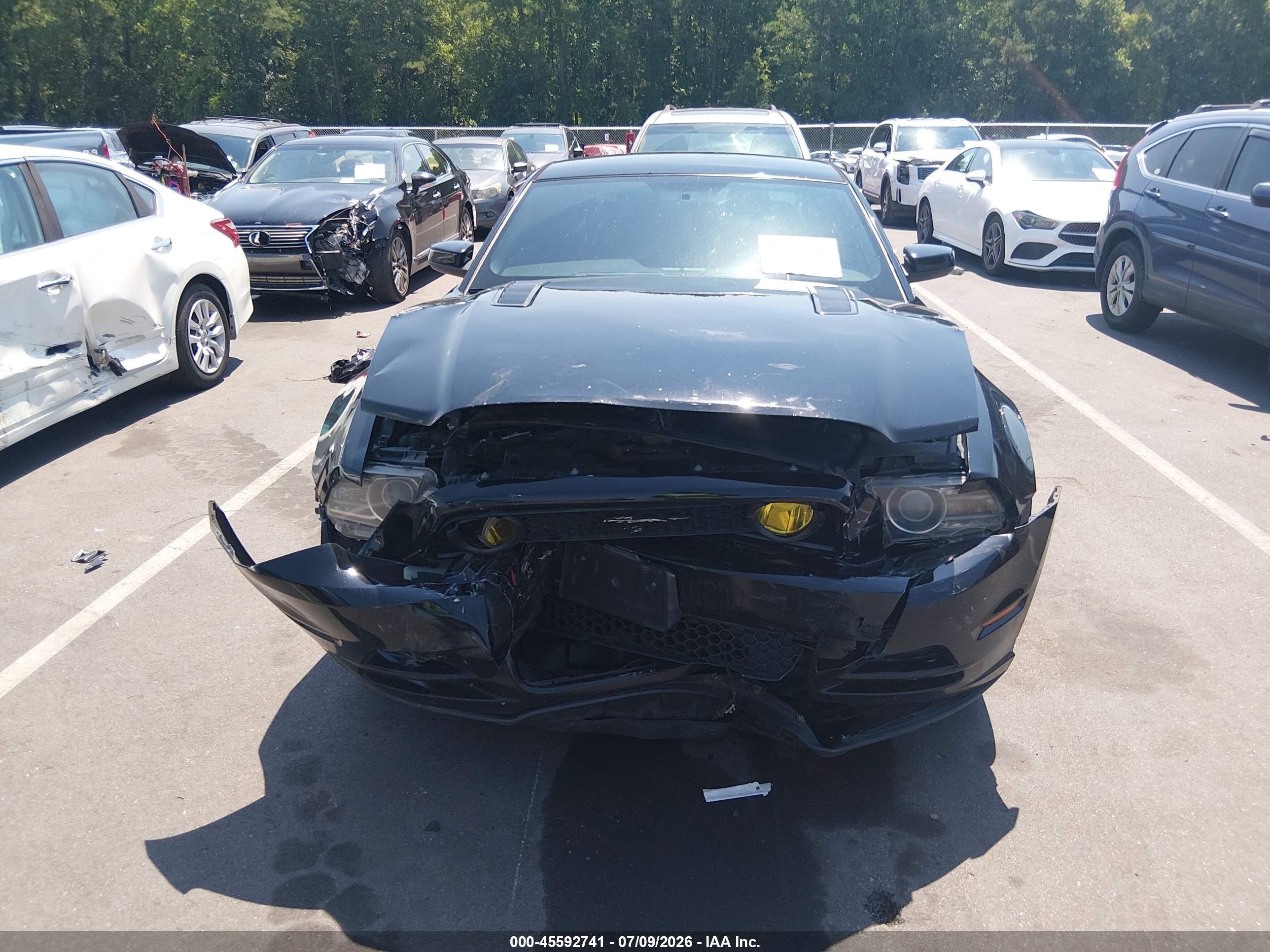 2013 Ford Mustang Gt Black vin: 1ZVBP8CF1D5213659
