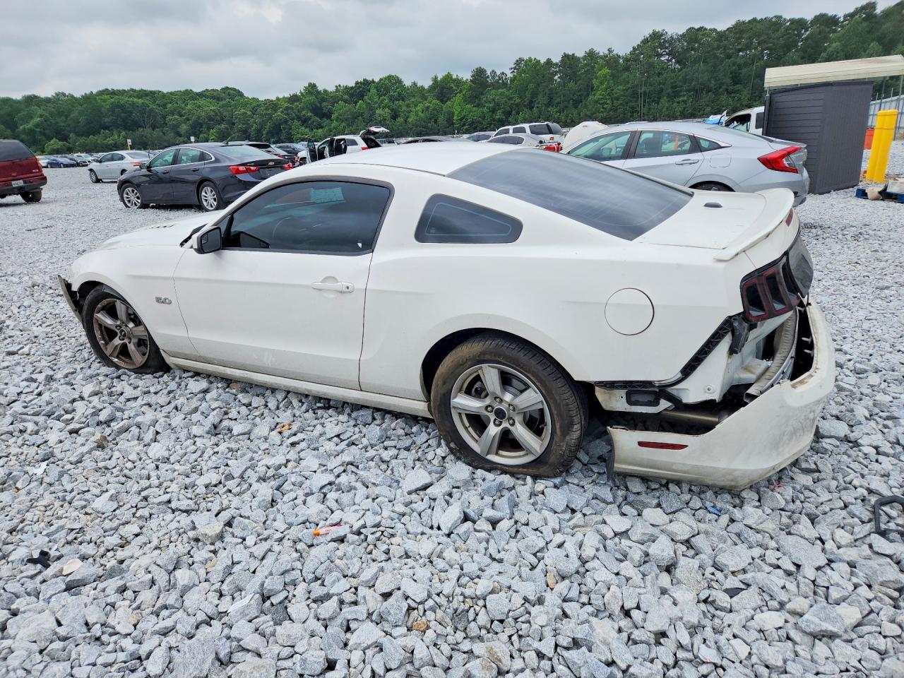 2013 Ford Mustang Gt White vin: 1ZVBP8CF1D5232051