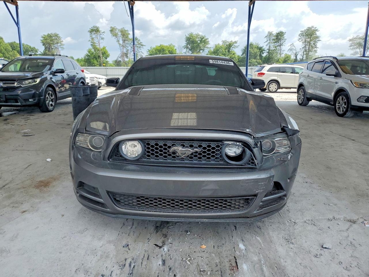 2014 Ford Mustang Gt Gray vin: 1ZVBP8CF1E5248901