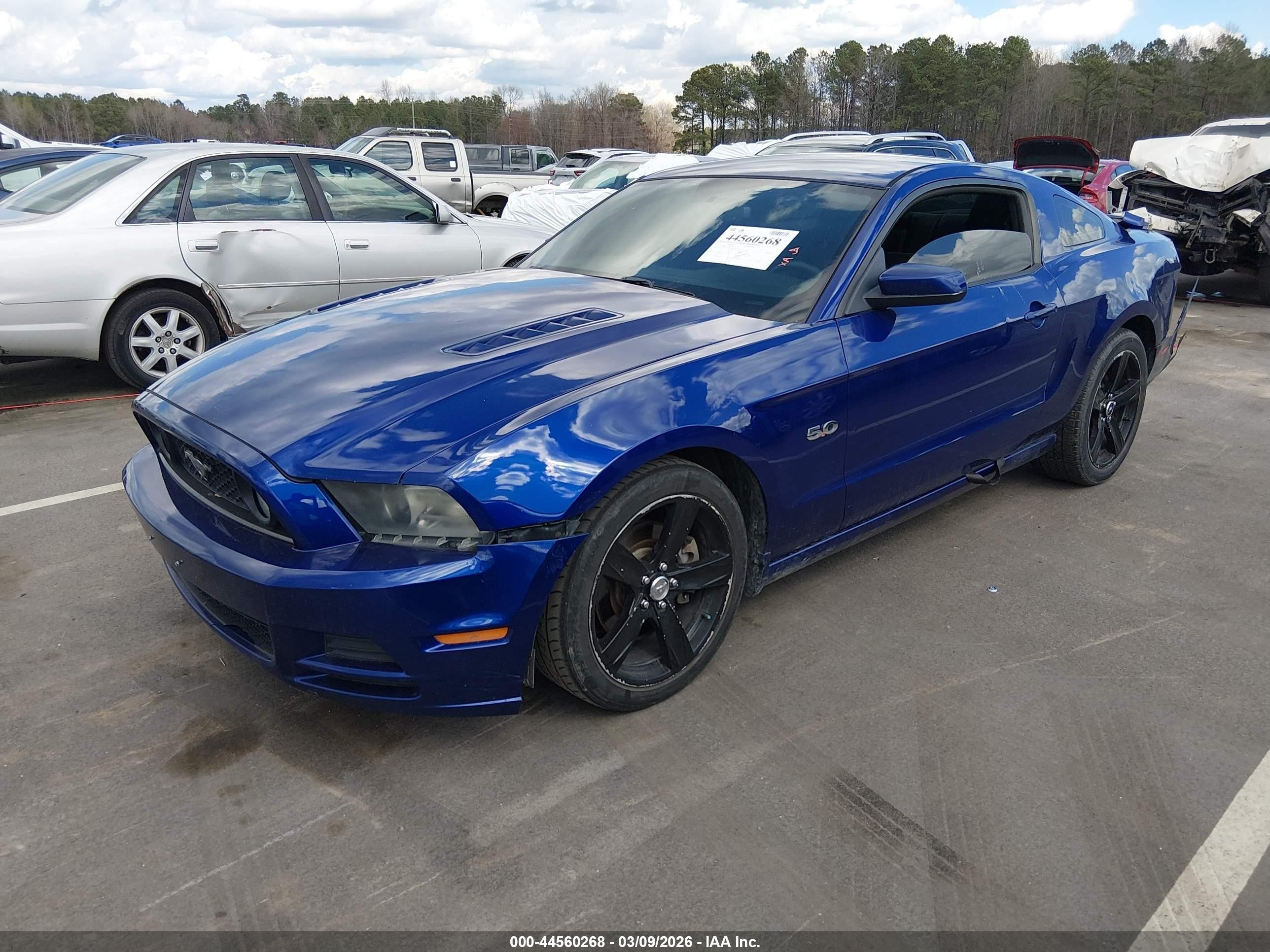 2014 Ford Mustang Gt Premium Blue vin: 1ZVBP8CF1E5324827