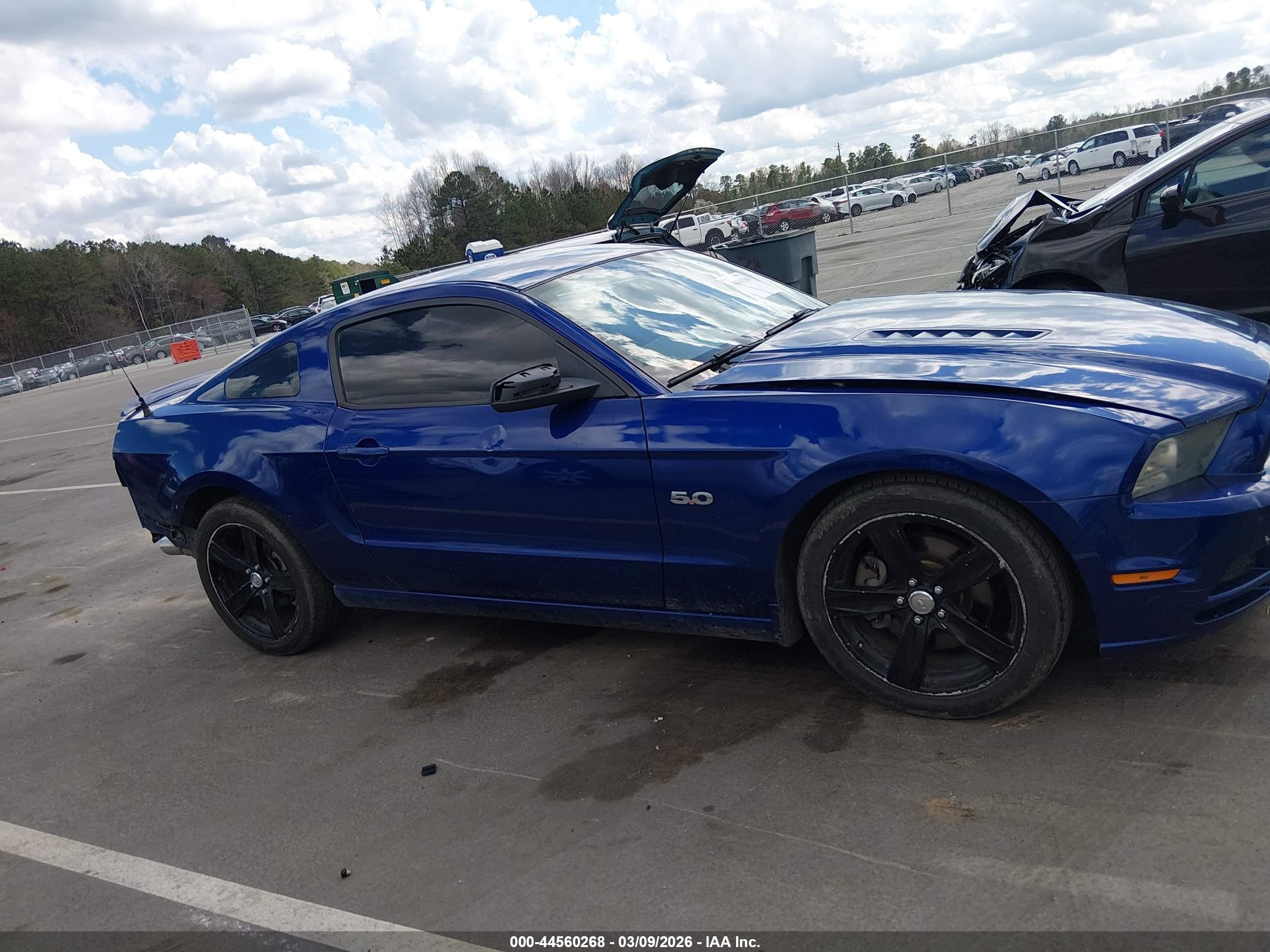 2014 Ford Mustang Gt Premium Blue vin: 1ZVBP8CF1E5324827