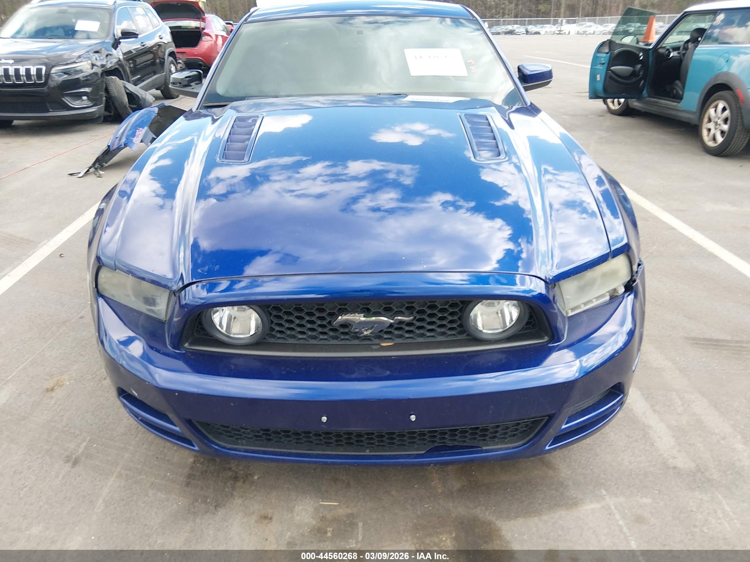 2014 Ford Mustang Gt Premium Blue vin: 1ZVBP8CF1E5324827