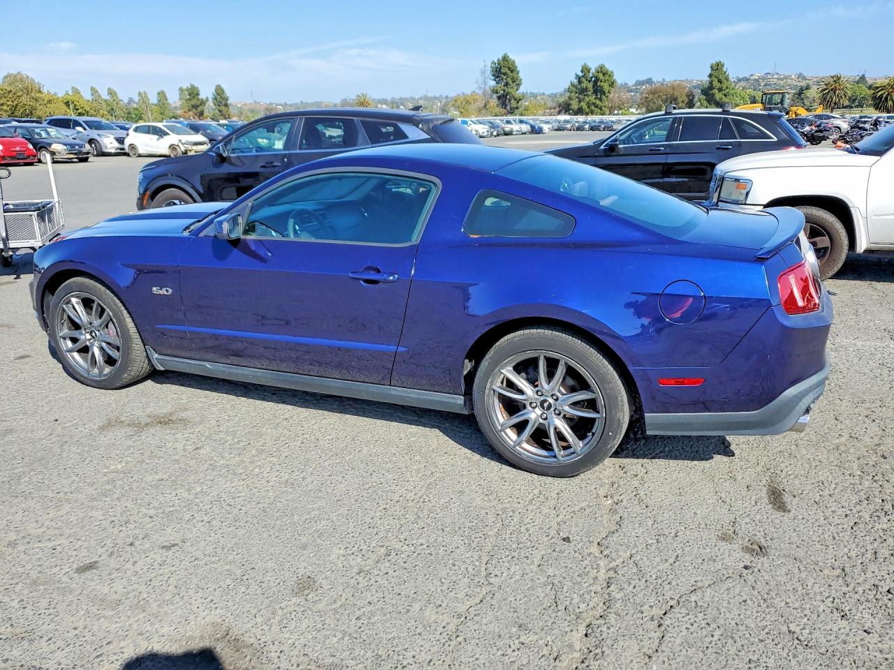 2011 Ford Mustang Gt Синий vin: 1ZVBP8CF2B5169572