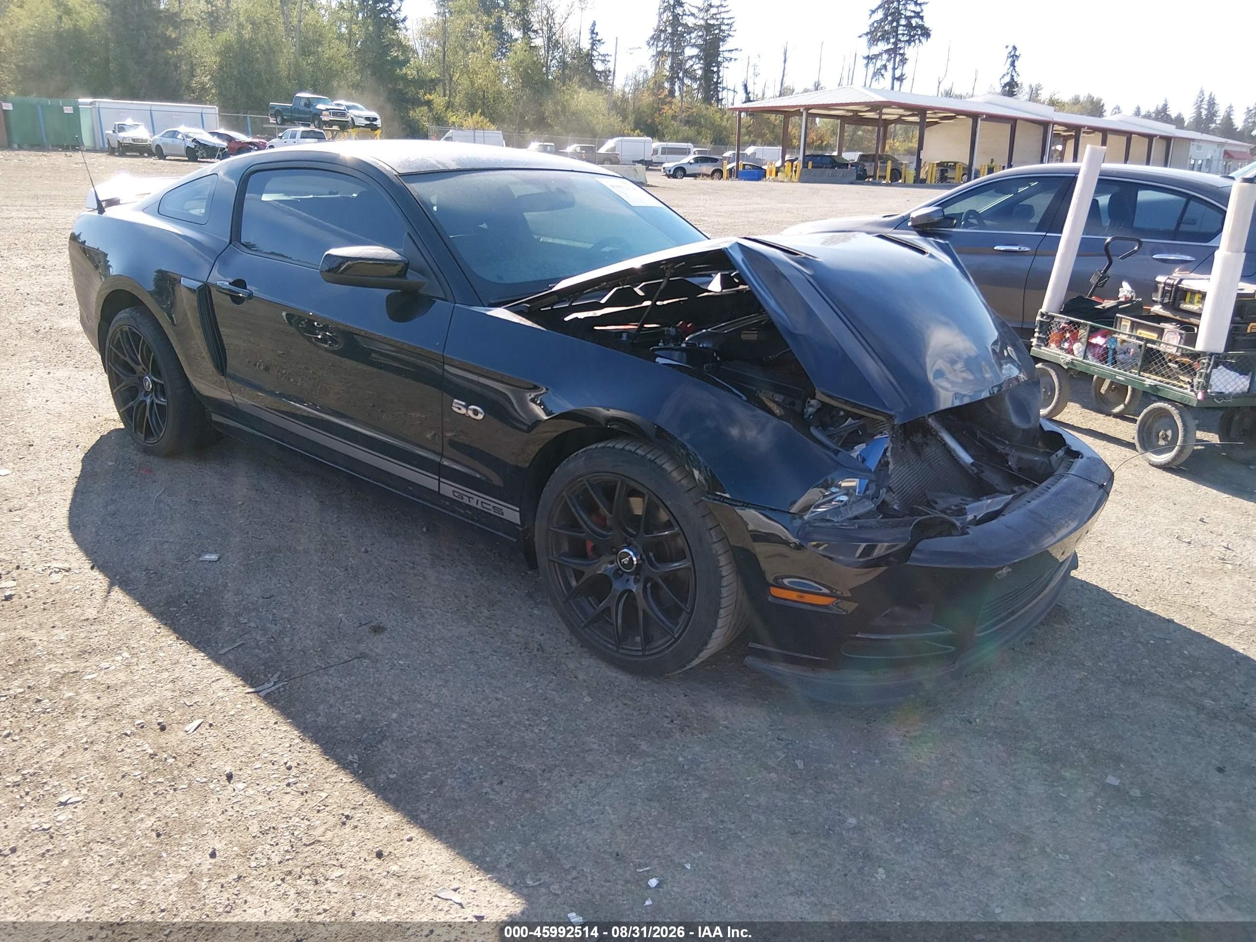 2013 Ford Mustang Gt Premium Черный vin: 1ZVBP8CF2D5233578