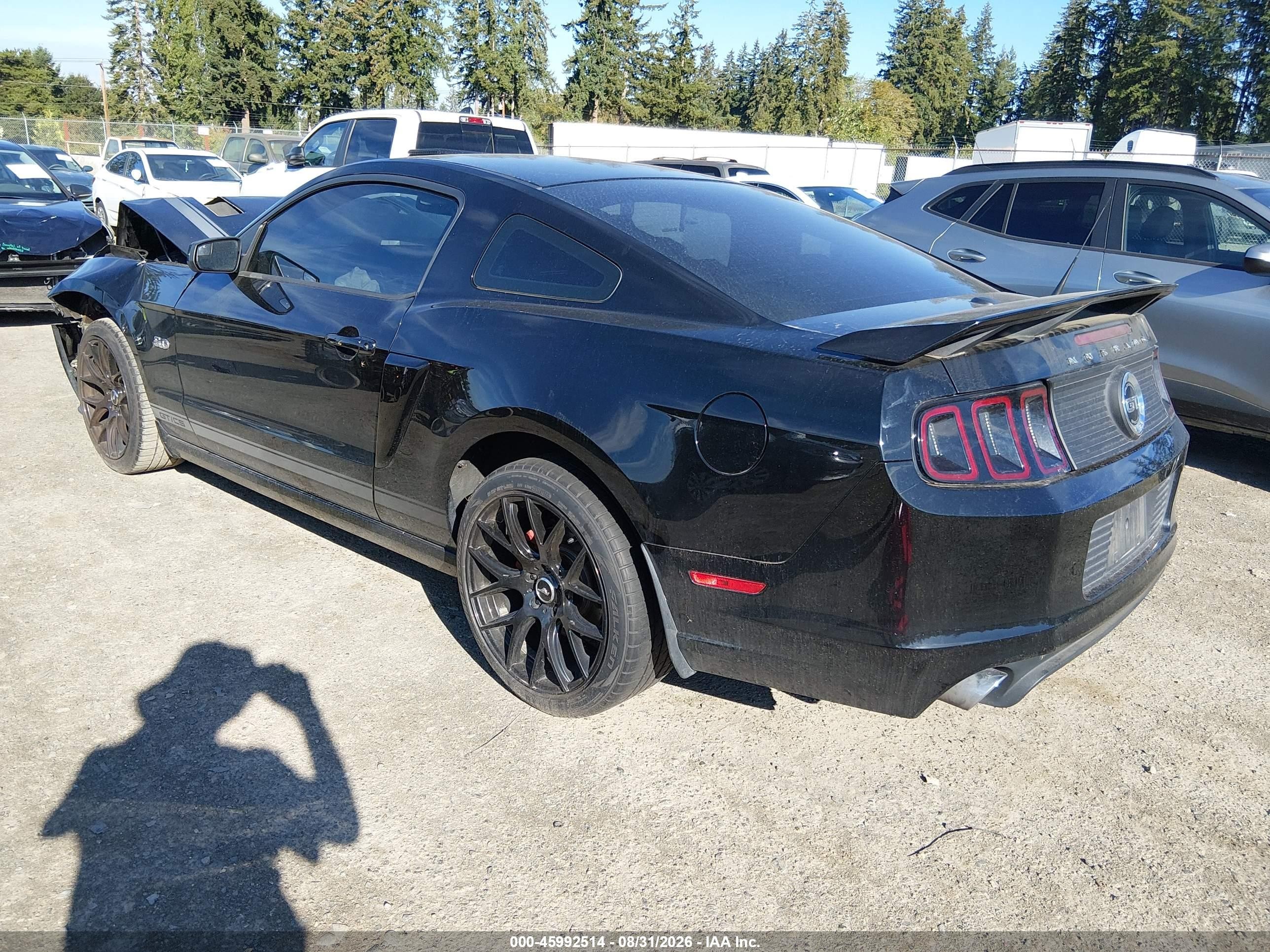 2013 Ford Mustang Gt Premium Black vin: 1ZVBP8CF2D5233578