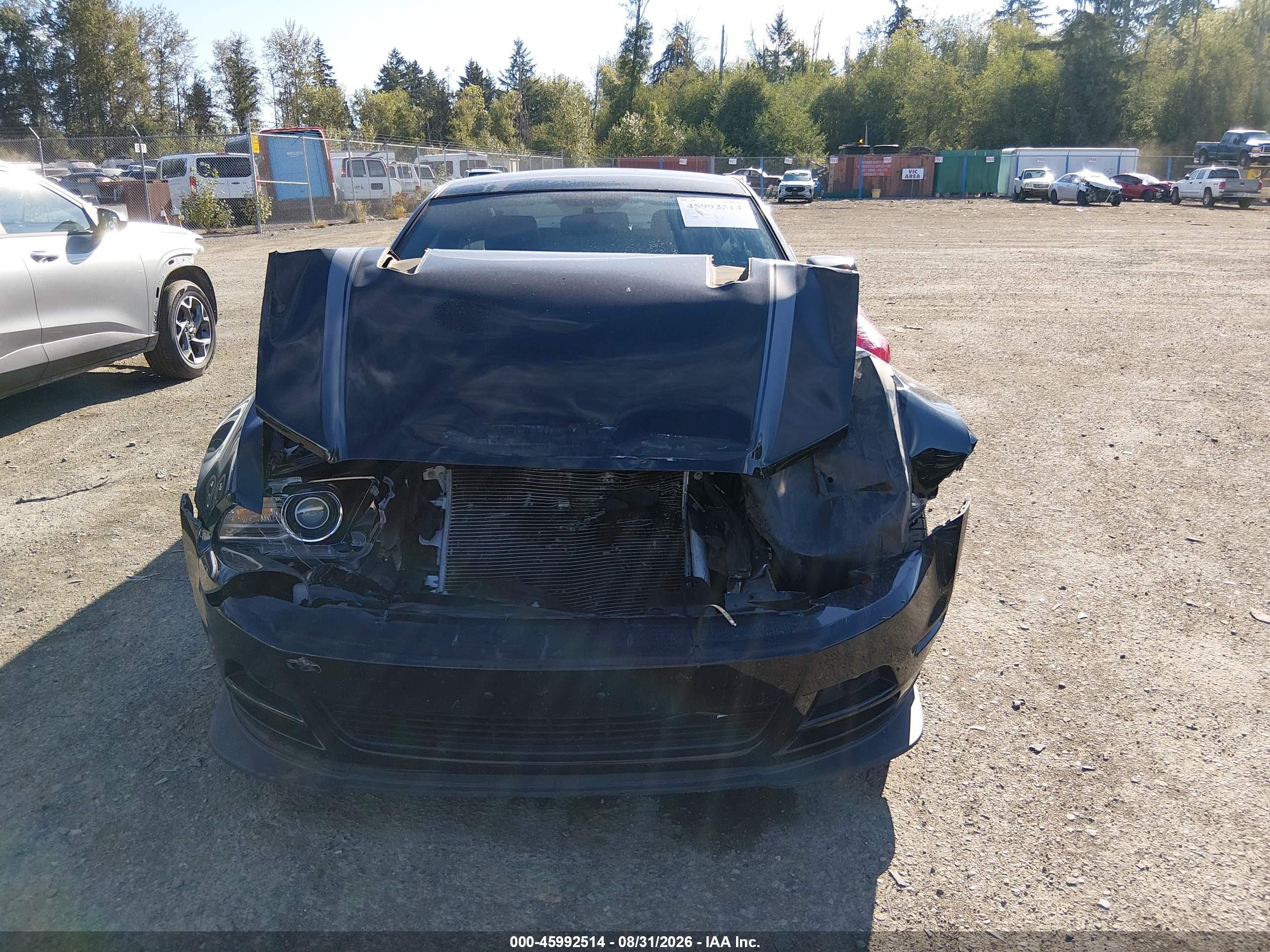 2013 Ford Mustang Gt Premium Black vin: 1ZVBP8CF2D5233578