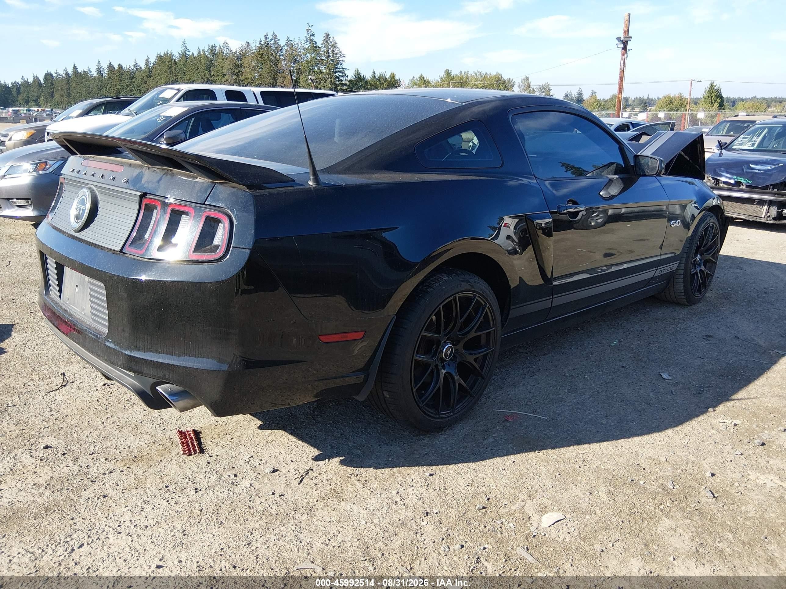2013 Ford Mustang Gt Premium Black vin: 1ZVBP8CF2D5233578