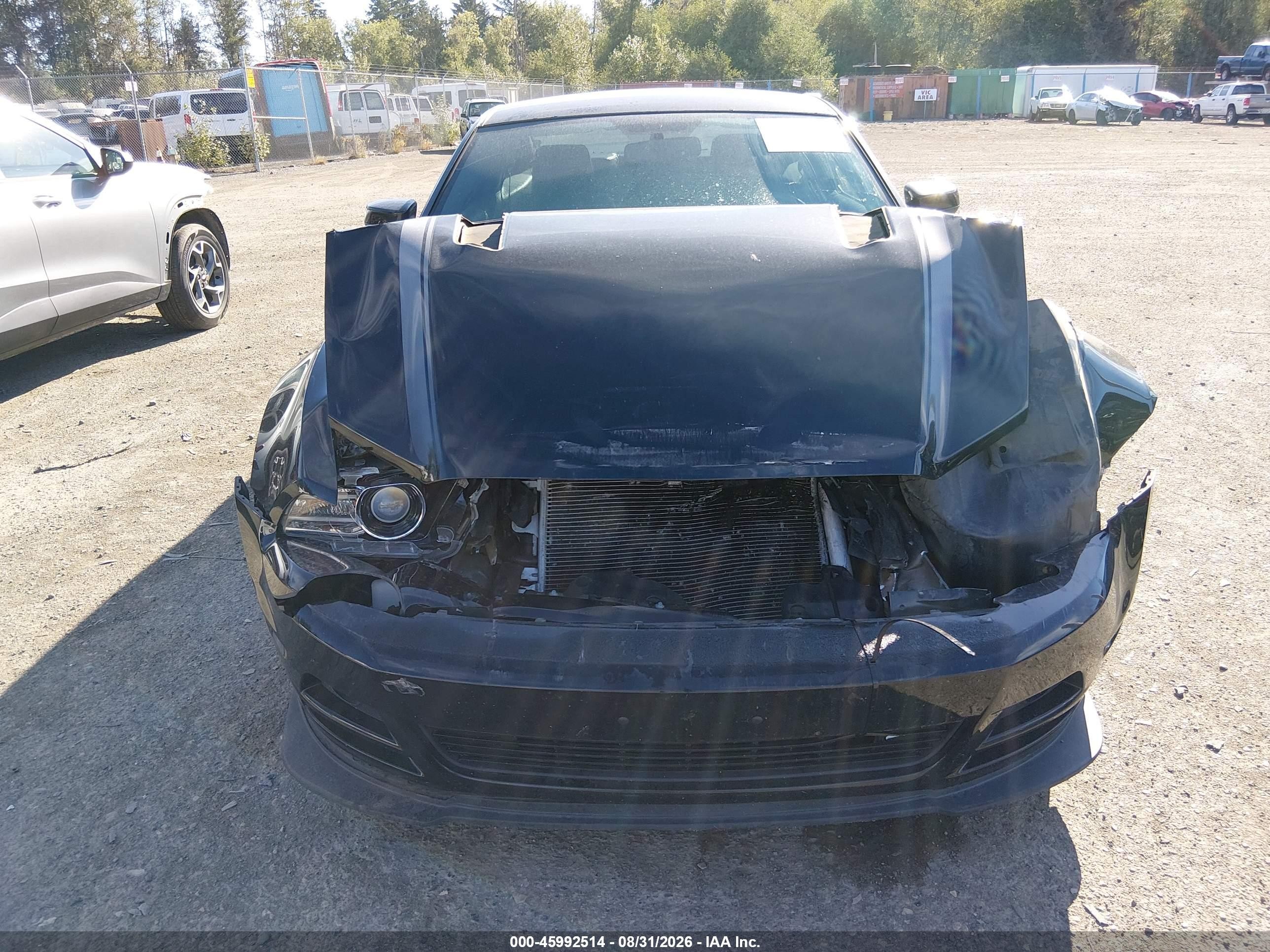 2013 Ford Mustang Gt Premium Black vin: 1ZVBP8CF2D5233578