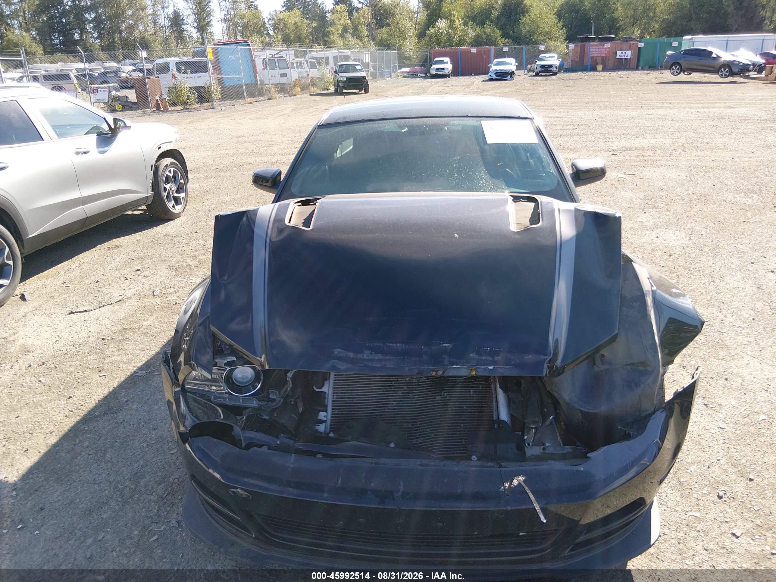 2013 Ford Mustang Gt Premium Black vin: 1ZVBP8CF2D5233578