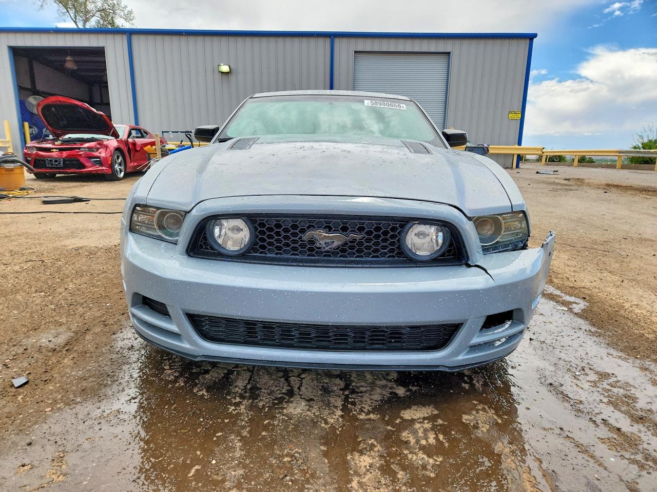 2014 Ford Mustang Gt Gray vin: 1ZVBP8CF2E5204924