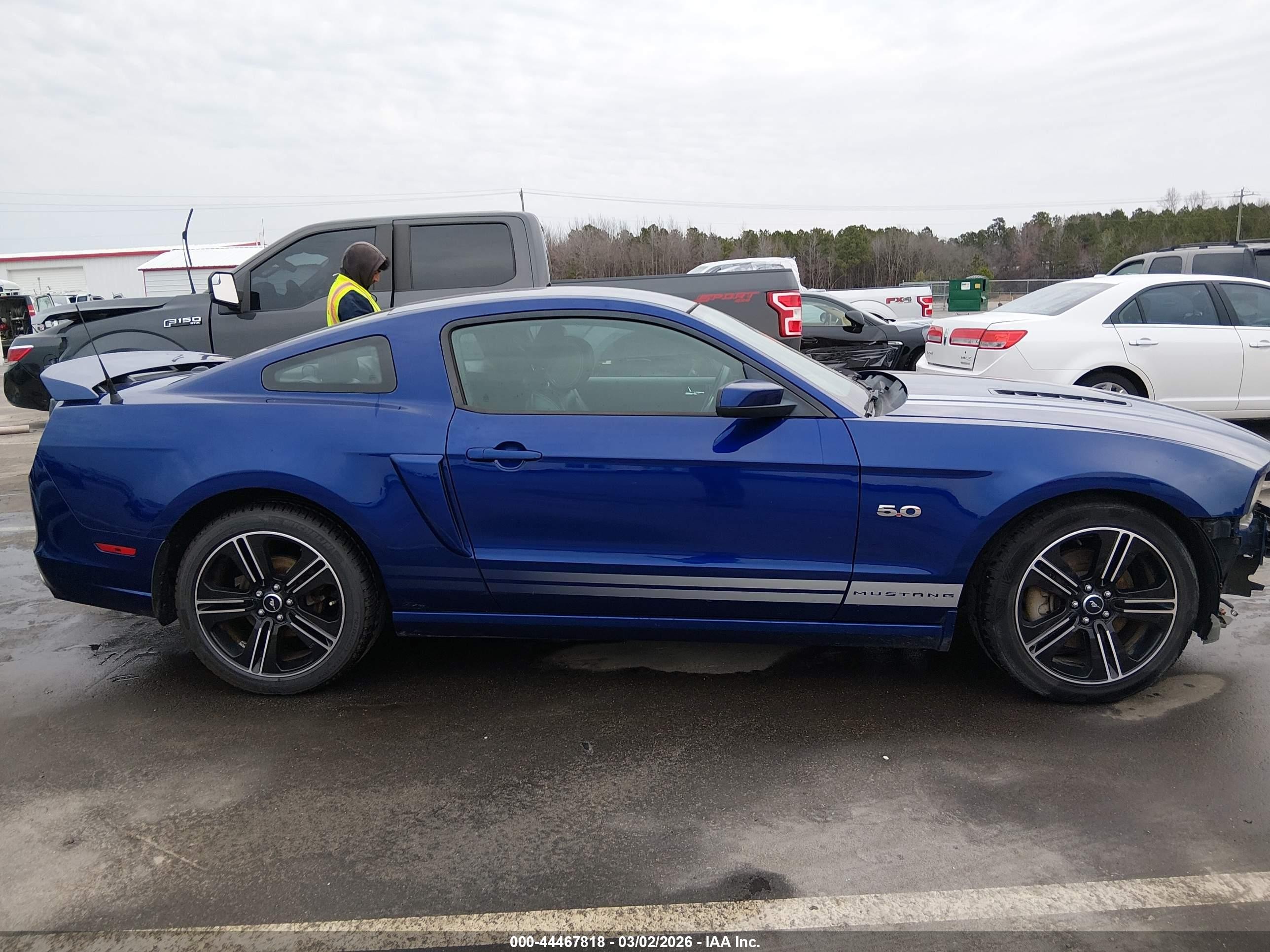 2014 Ford Mustang Gt Premium Blue vin: 1ZVBP8CF2E5209301
