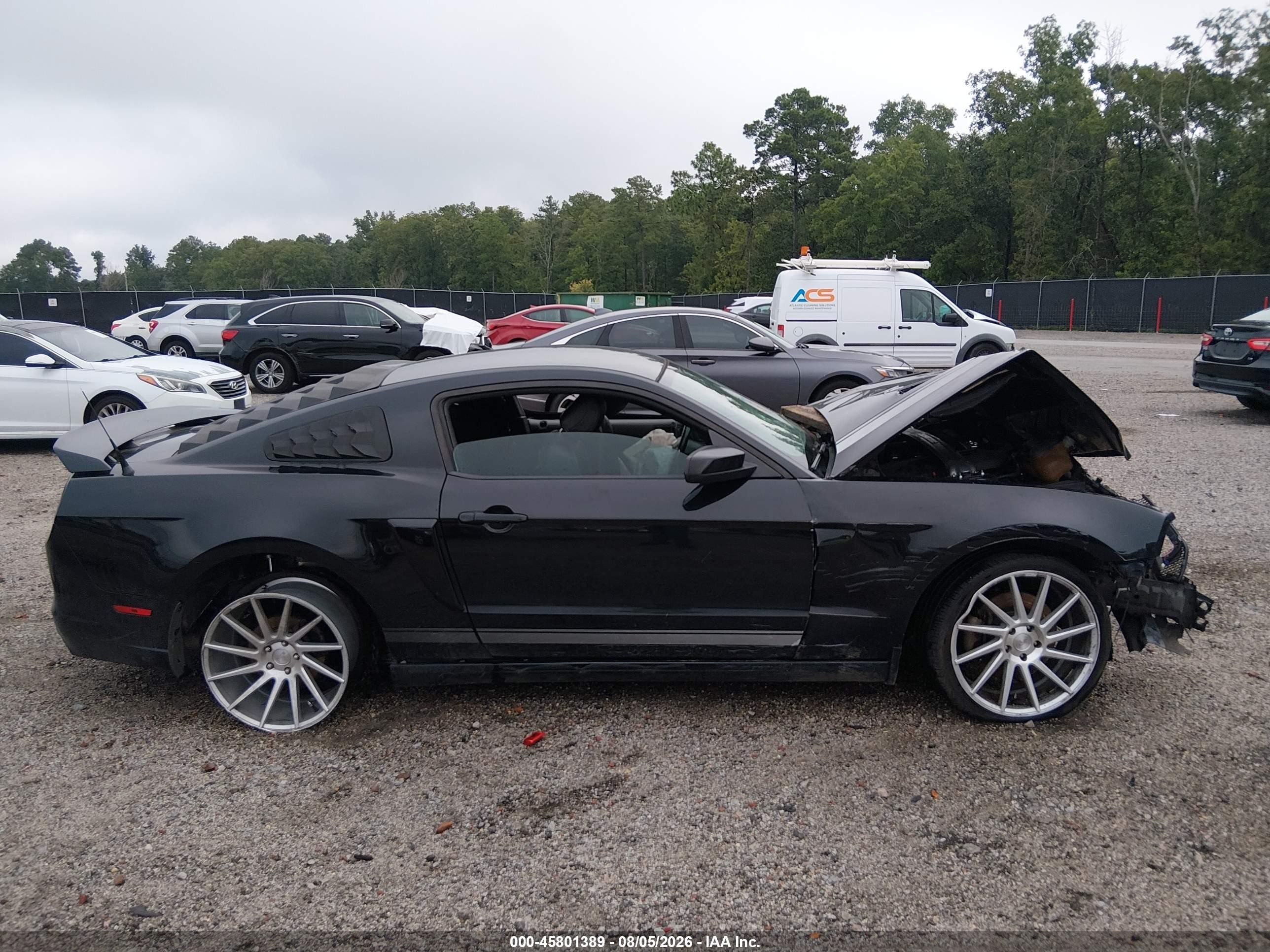 2014 Ford Mustang Gt Premium Black vin: 1ZVBP8CF2E5246445