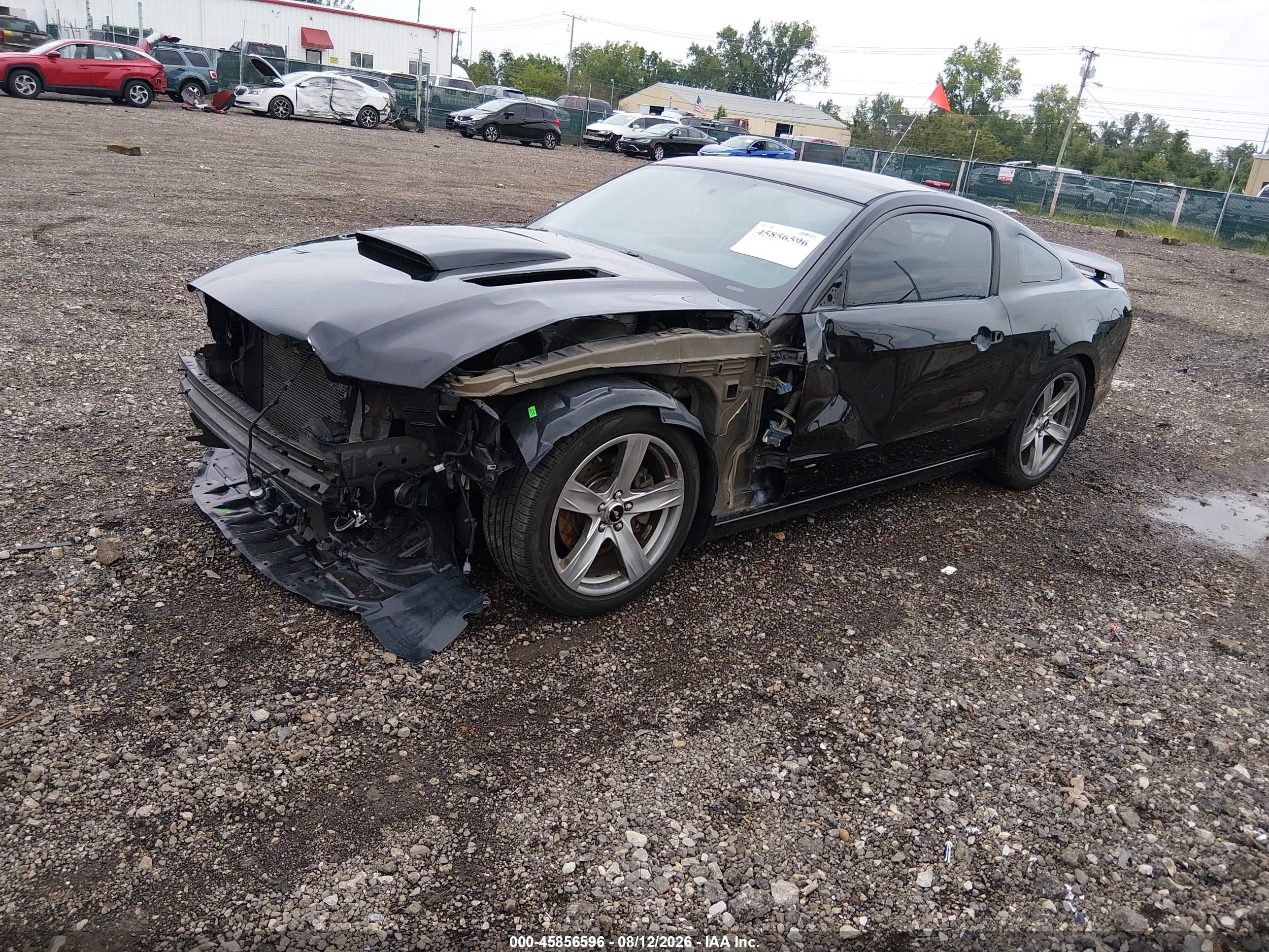2014 Ford Mustang Gt Premium Black vin: 1ZVBP8CF2E5249636