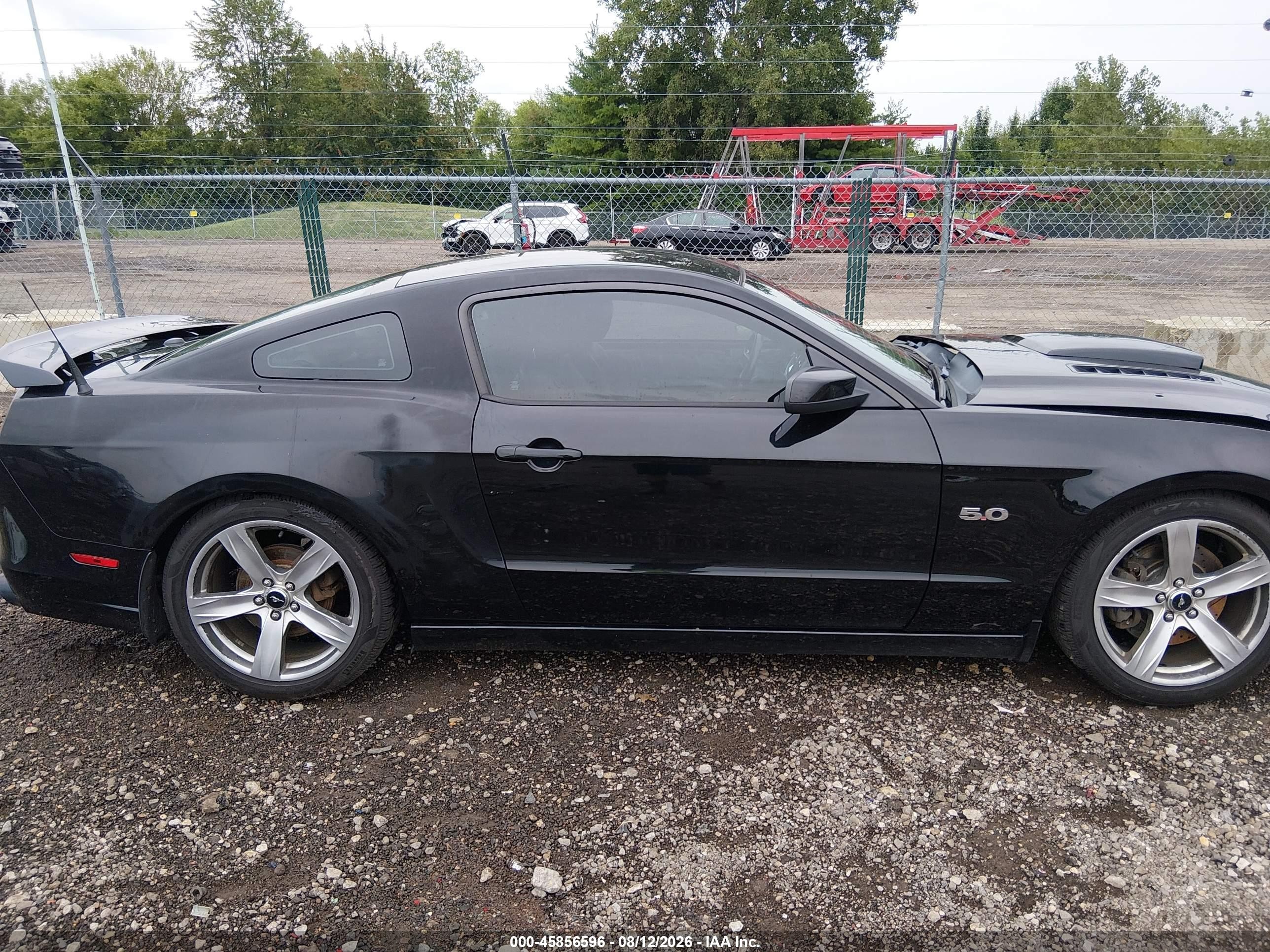 2014 Ford Mustang Gt Premium Black vin: 1ZVBP8CF2E5249636