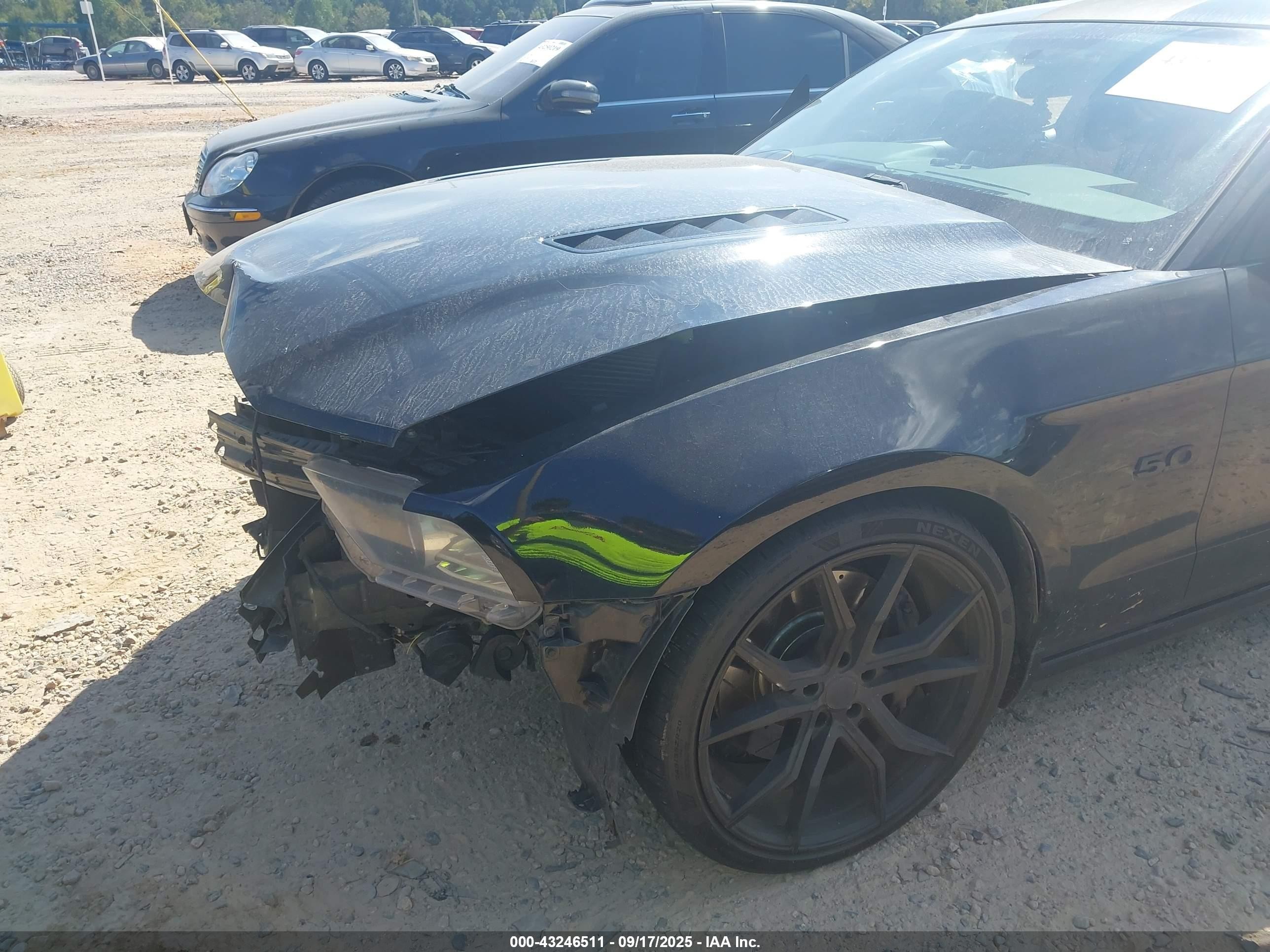 2014 Ford Mustang Gt Premium Black vin: 1ZVBP8CF3E5258524