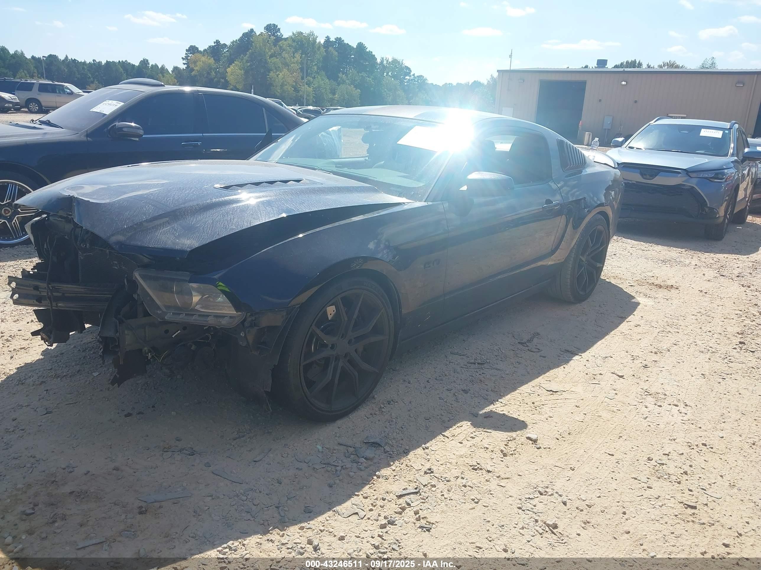 2014 Ford Mustang Gt Premium Black vin: 1ZVBP8CF3E5258524