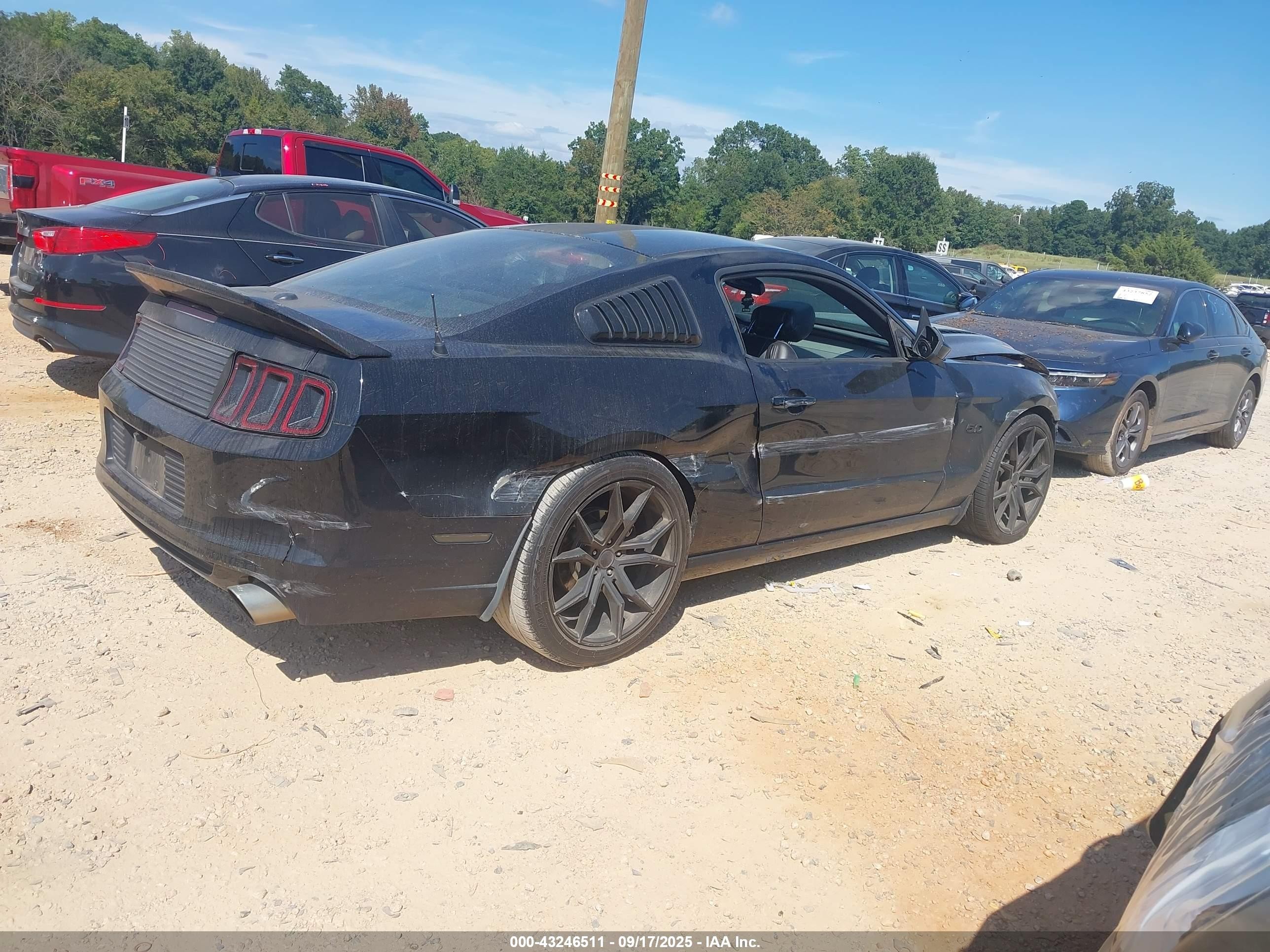 2014 Ford Mustang Gt Premium Black vin: 1ZVBP8CF3E5258524