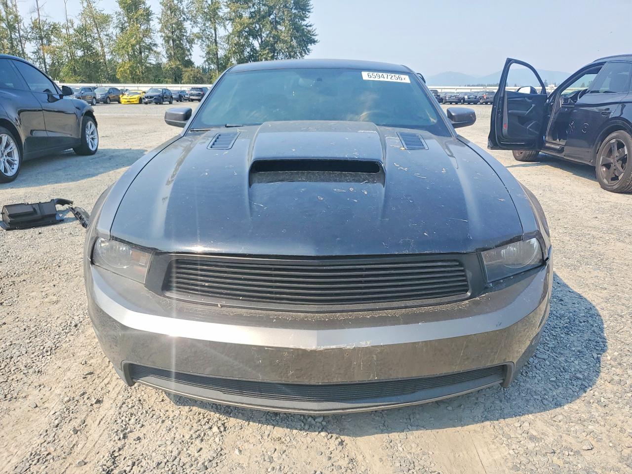 2011 Ford Mustang Gt Gray vin: 1ZVBP8CF4B5137237