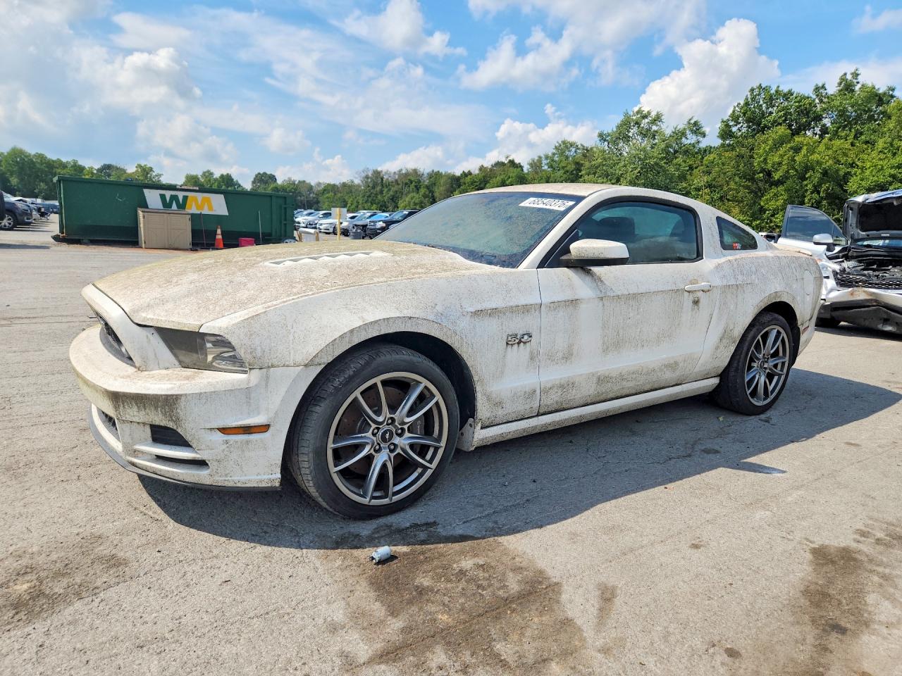 2013 Ford Mustang Gt White vin: 1ZVBP8CF4D5270485