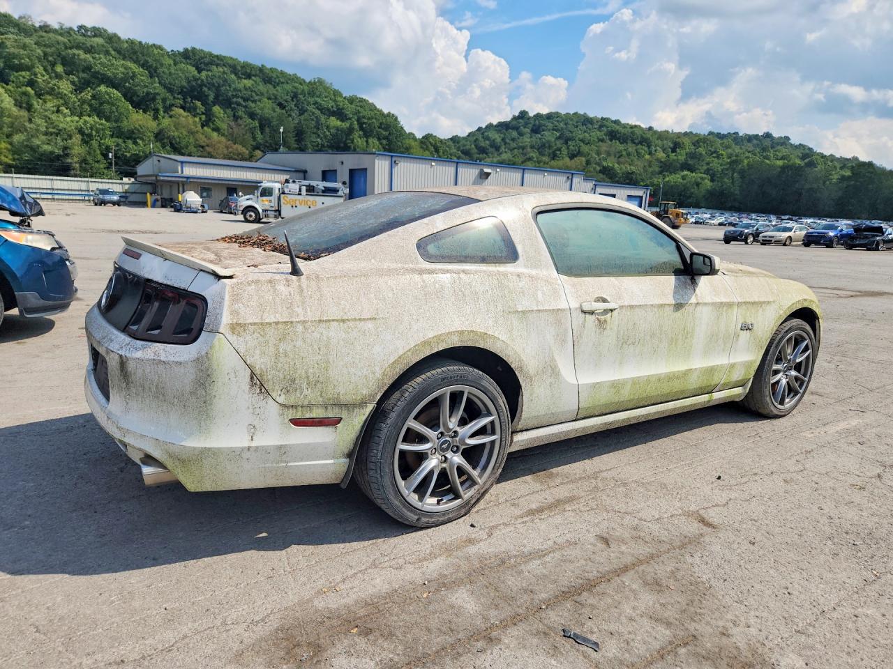 2013 Ford Mustang Gt White vin: 1ZVBP8CF4D5270485