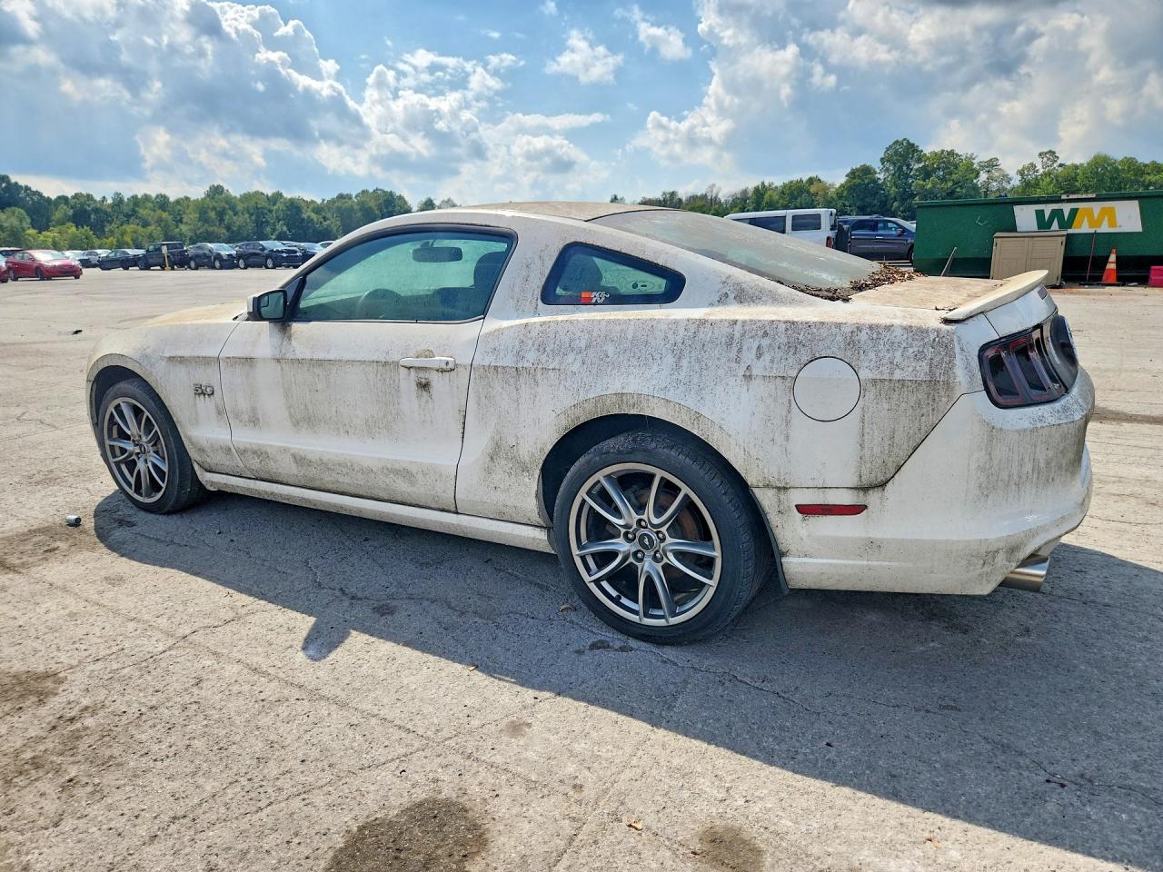 2013 Ford Mustang Gt White vin: 1ZVBP8CF4D5270485