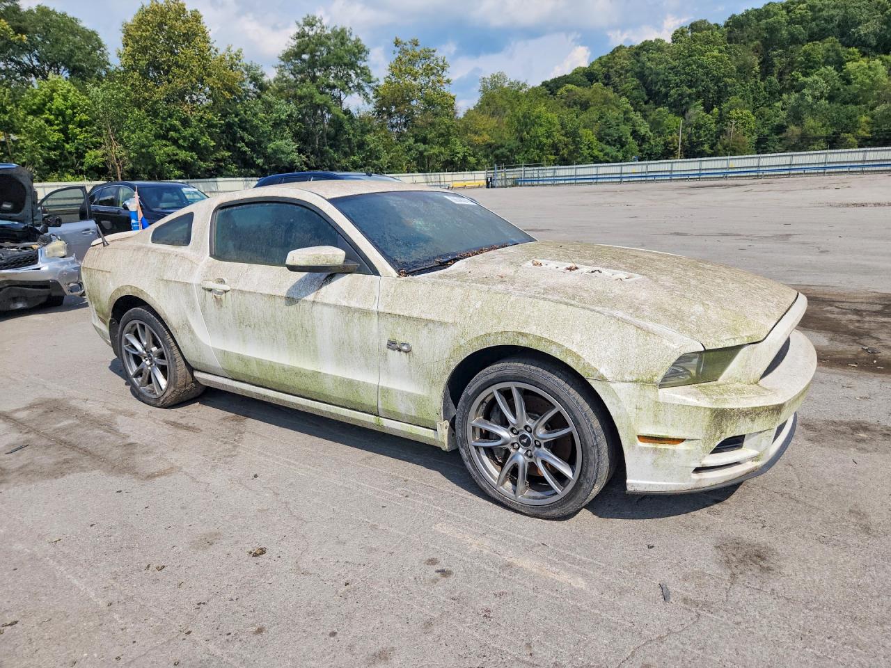 2013 Ford Mustang Gt White vin: 1ZVBP8CF4D5270485